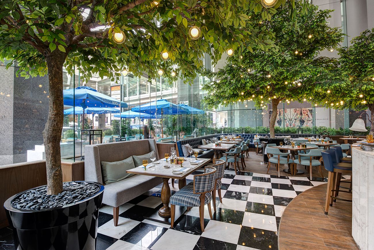 THEO MIO ITALIAN KITCHEN