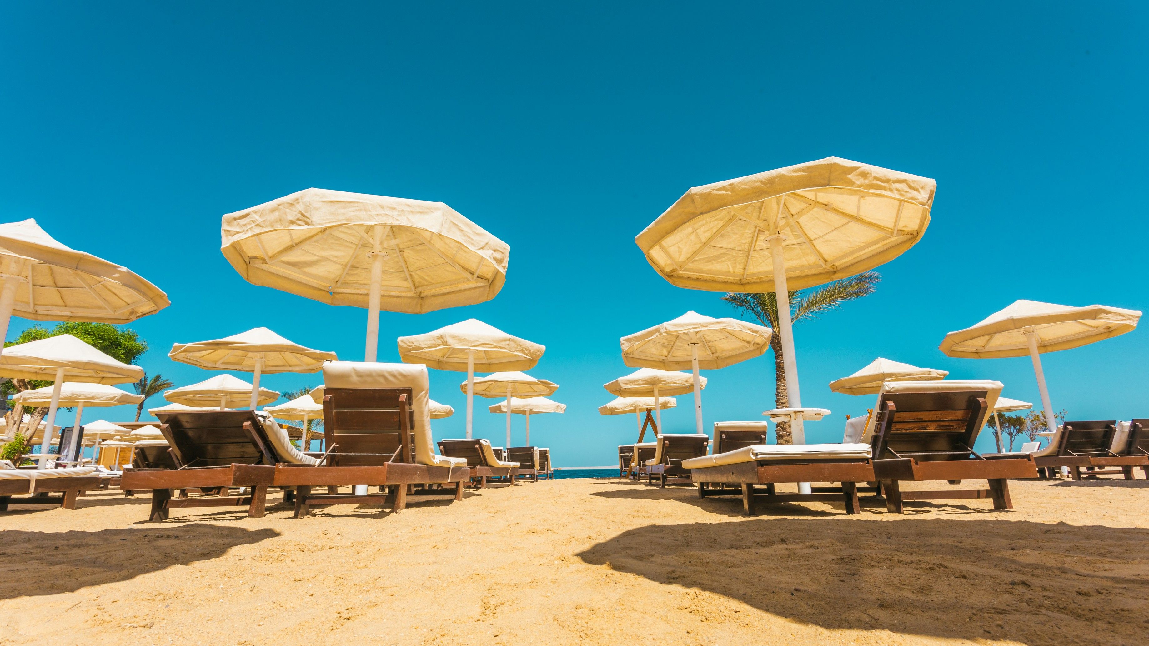 Plajă 