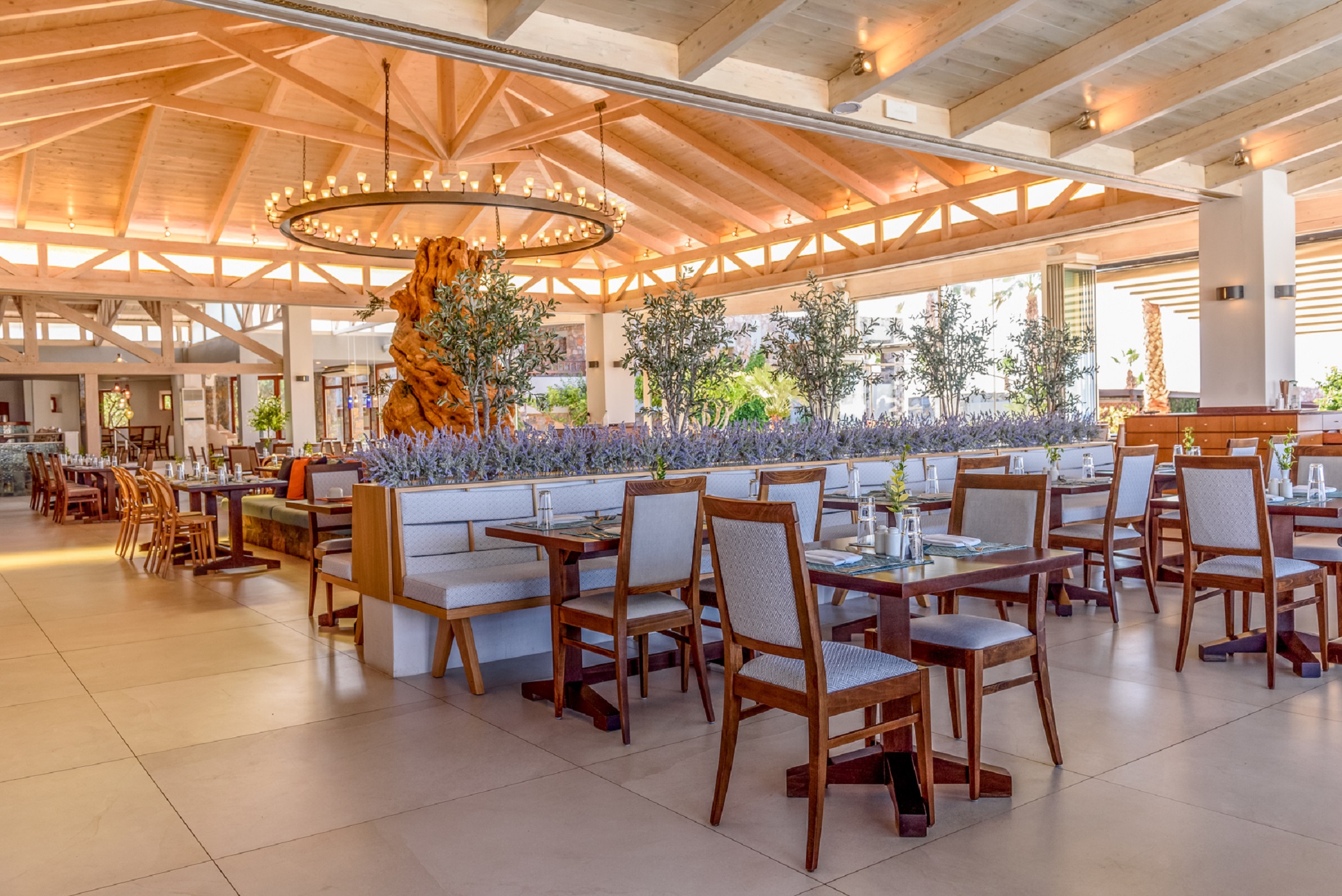 Olive Main Restaurant