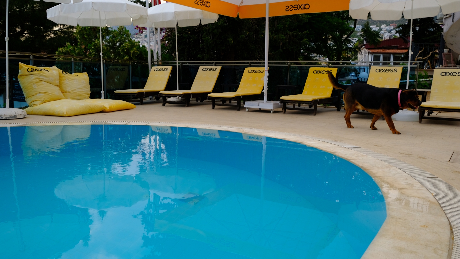 Piscina exterioara/interioara