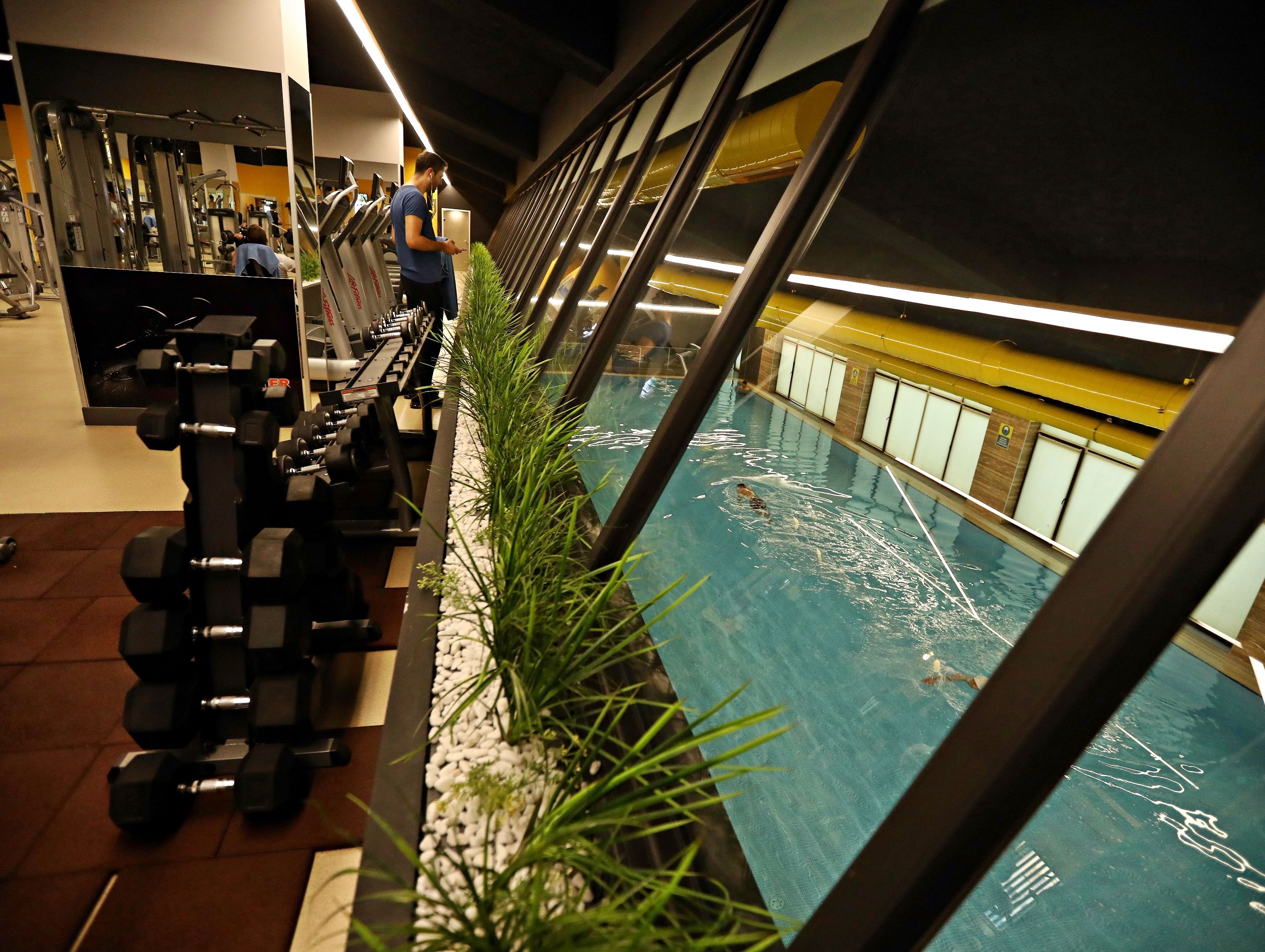 Sport