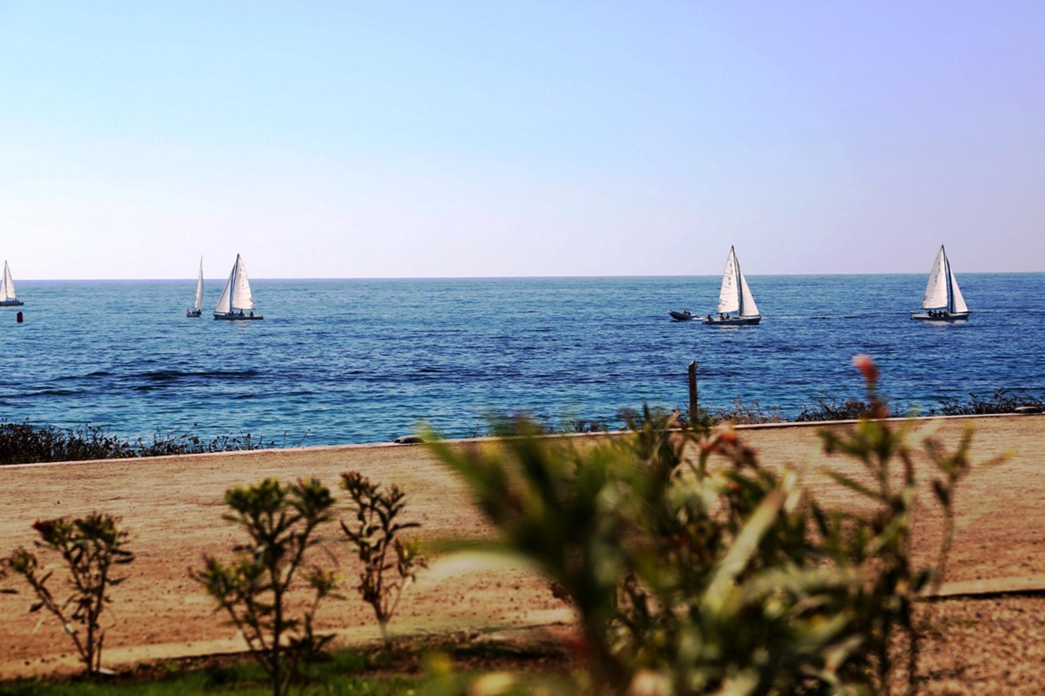 Plajă 