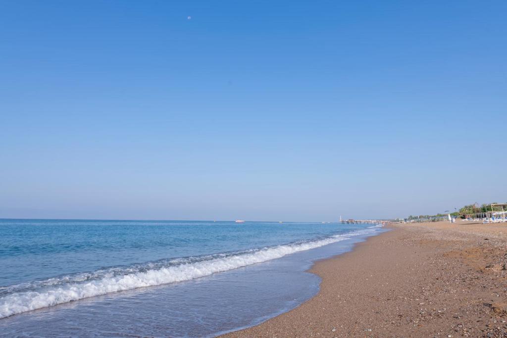 Plajă 