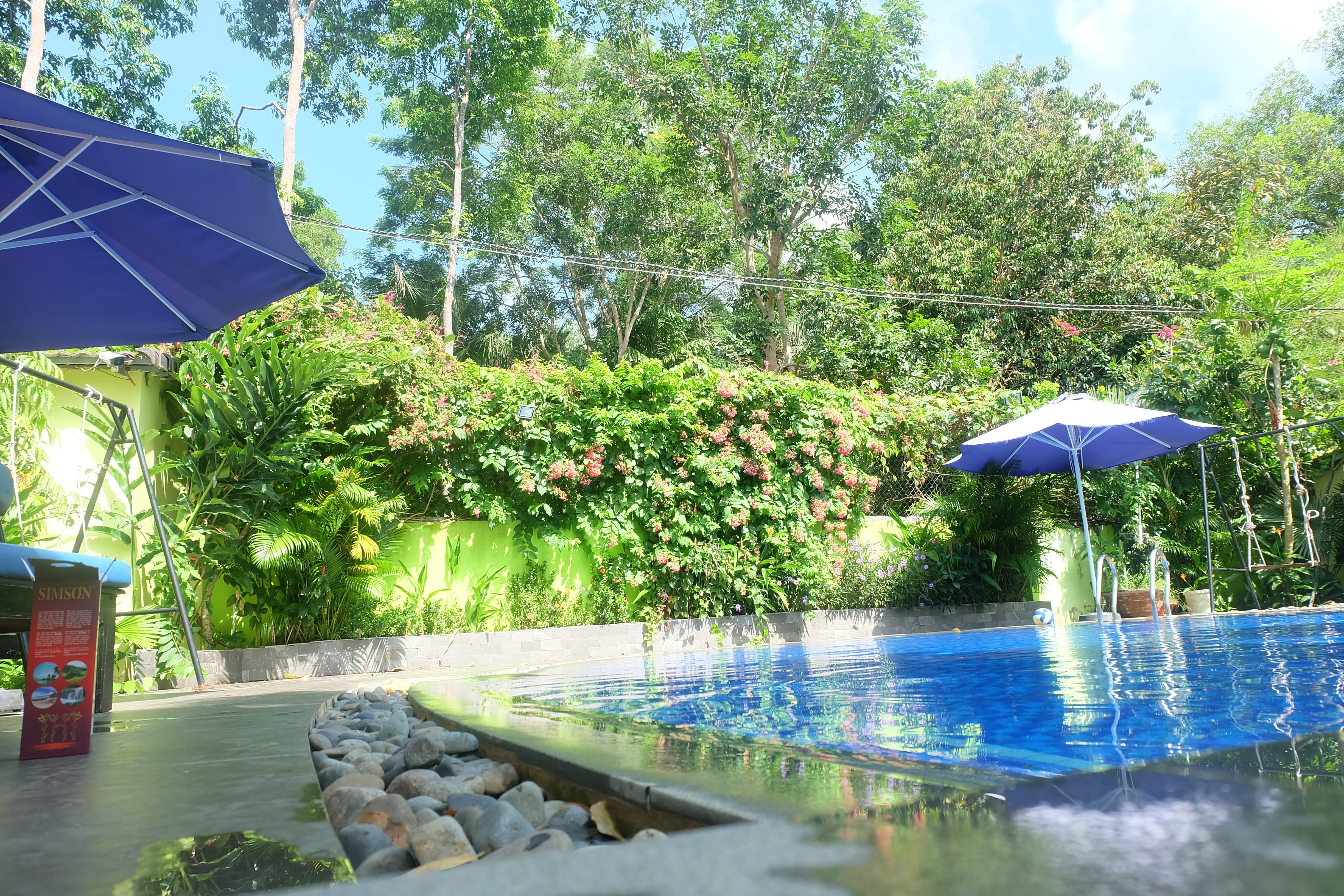 Piscina deschisă