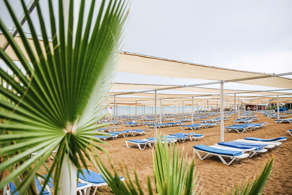 Plajă 