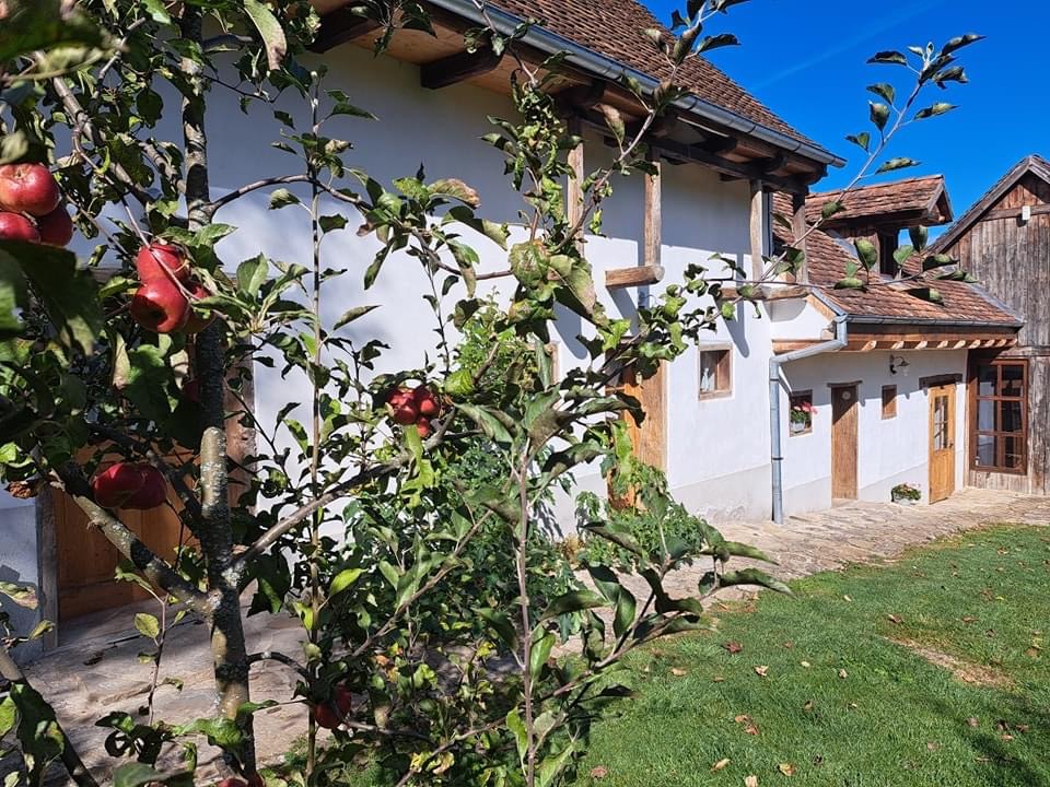 Apartament cu Scara