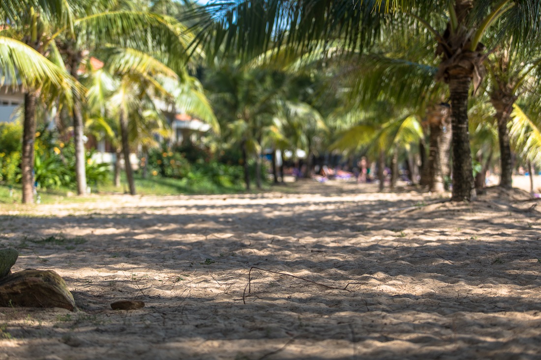 Plajă 
