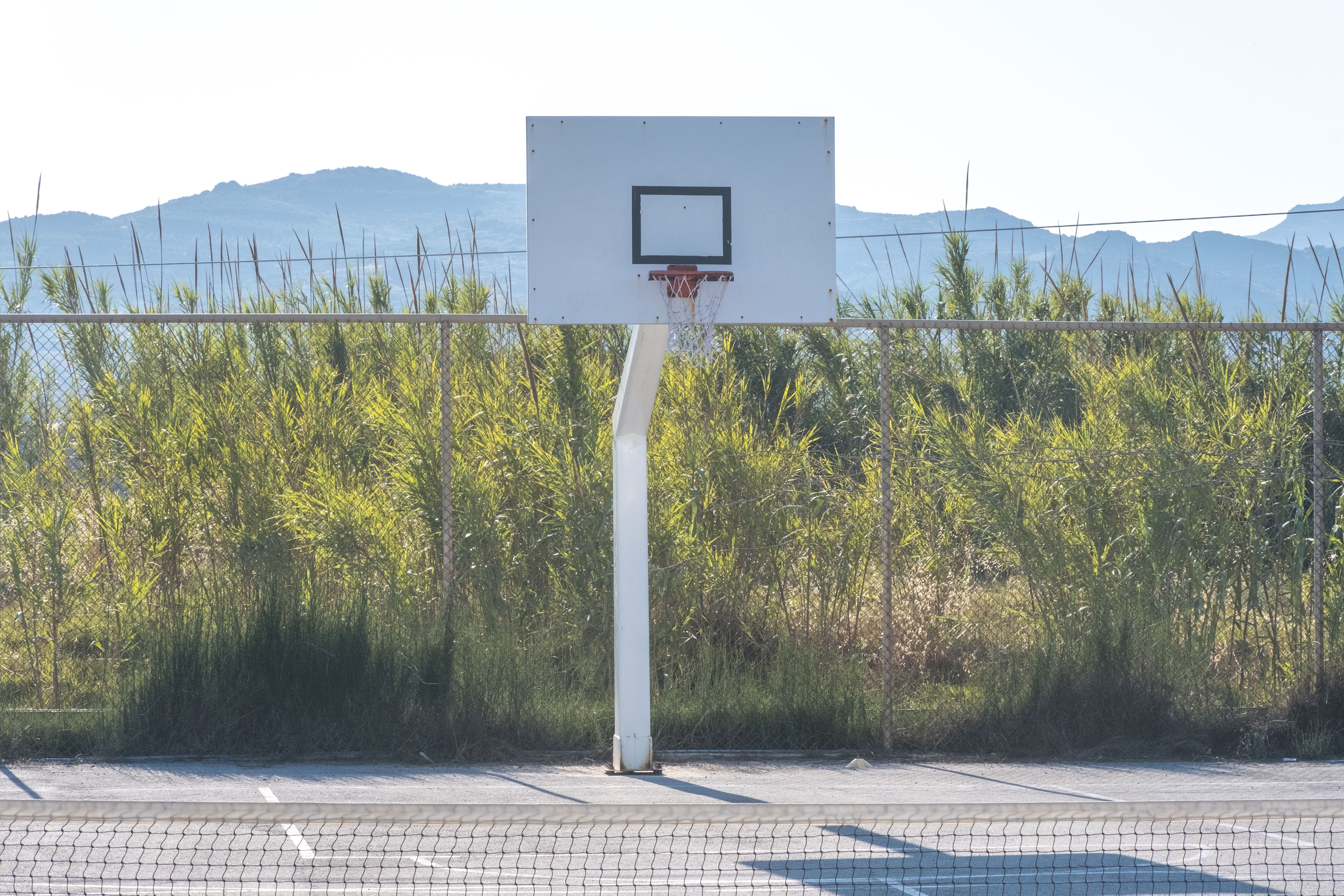 Sport