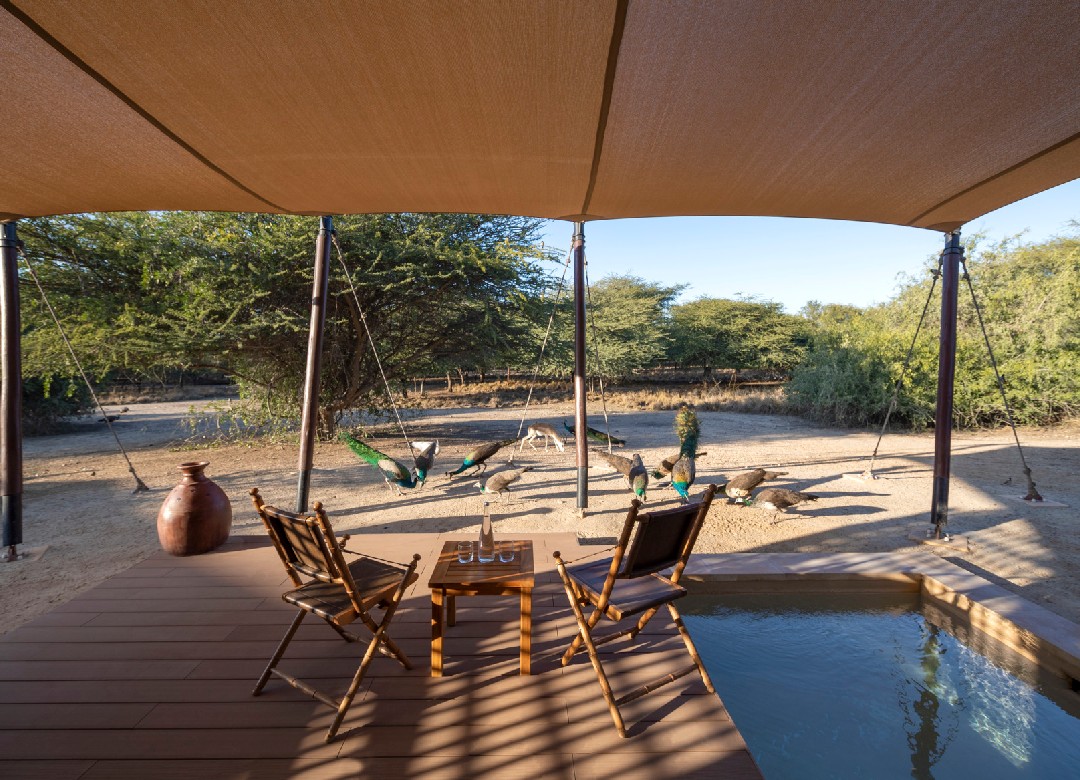 One Bedroom Pool Villa