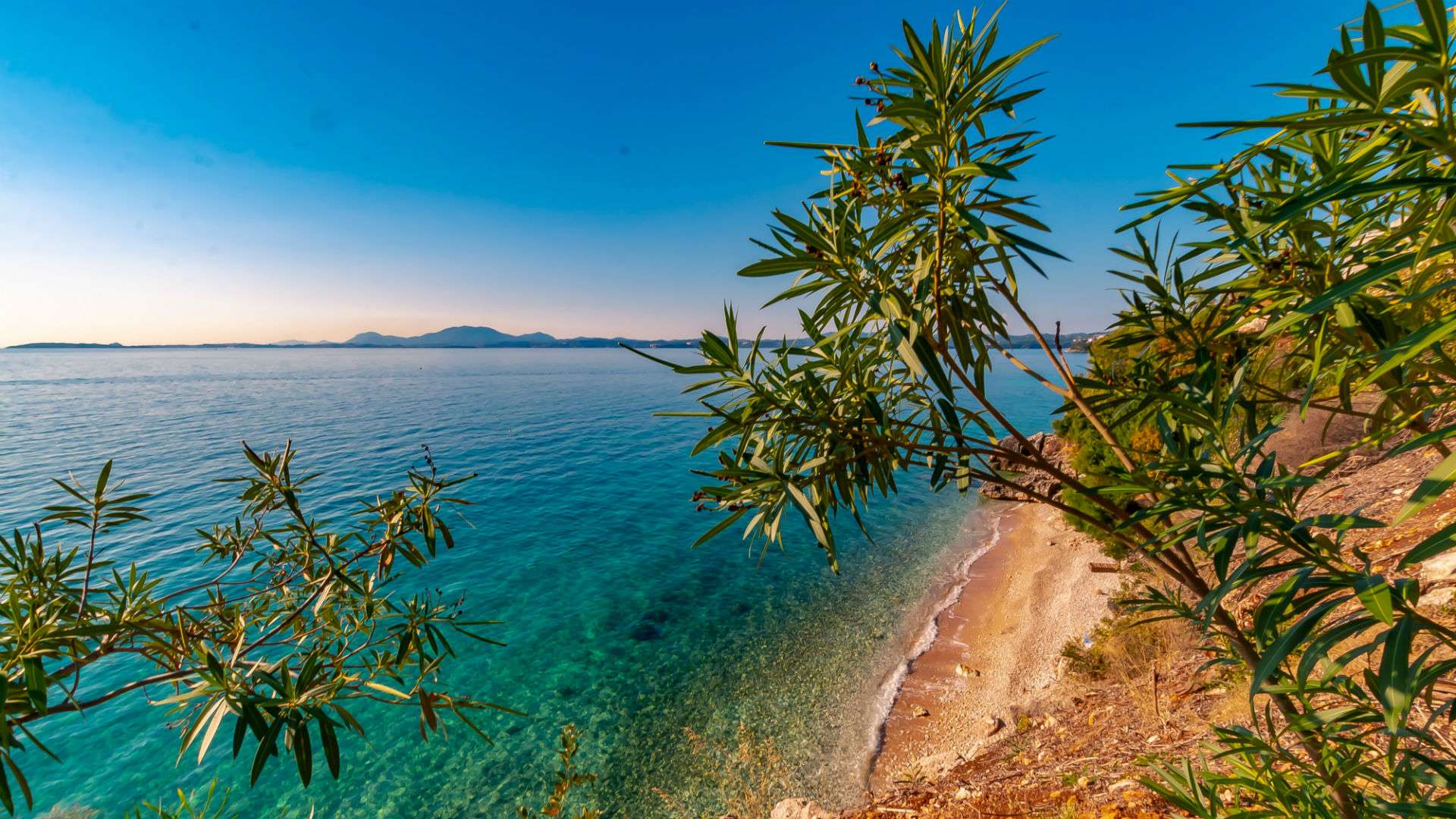 Plajă 