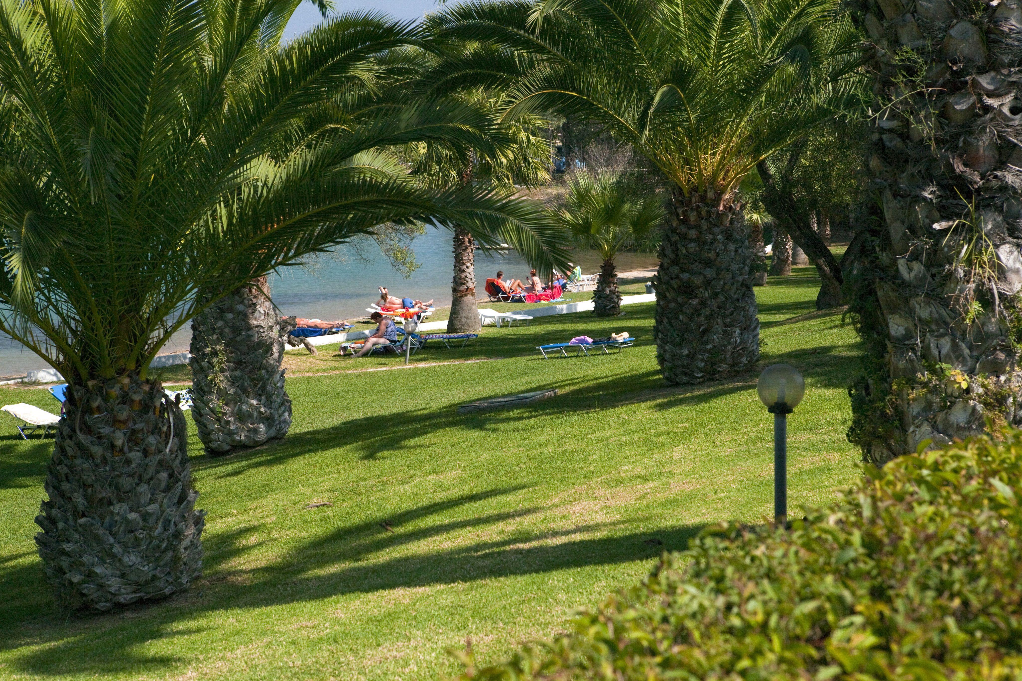 Plajă 