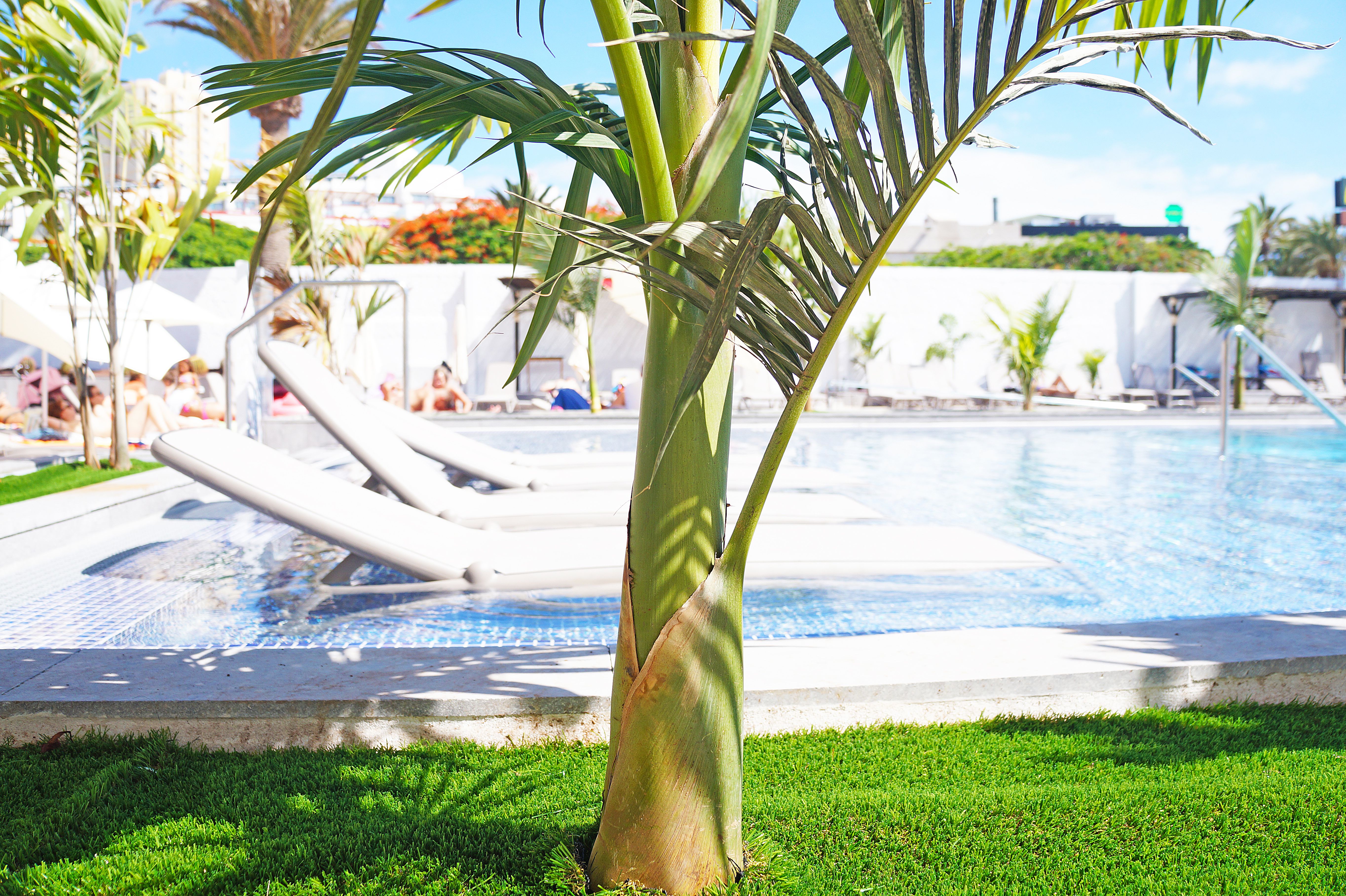 Piscina deschisă