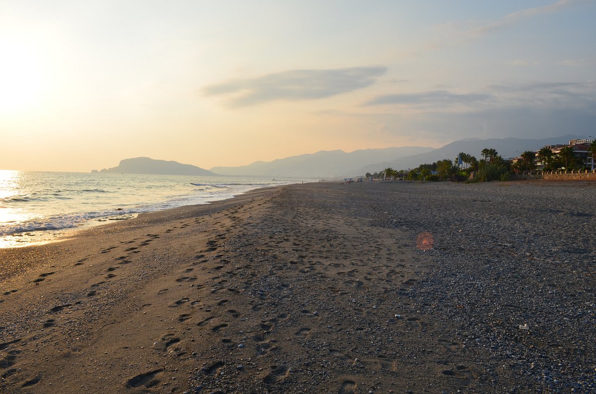 Plajă 
