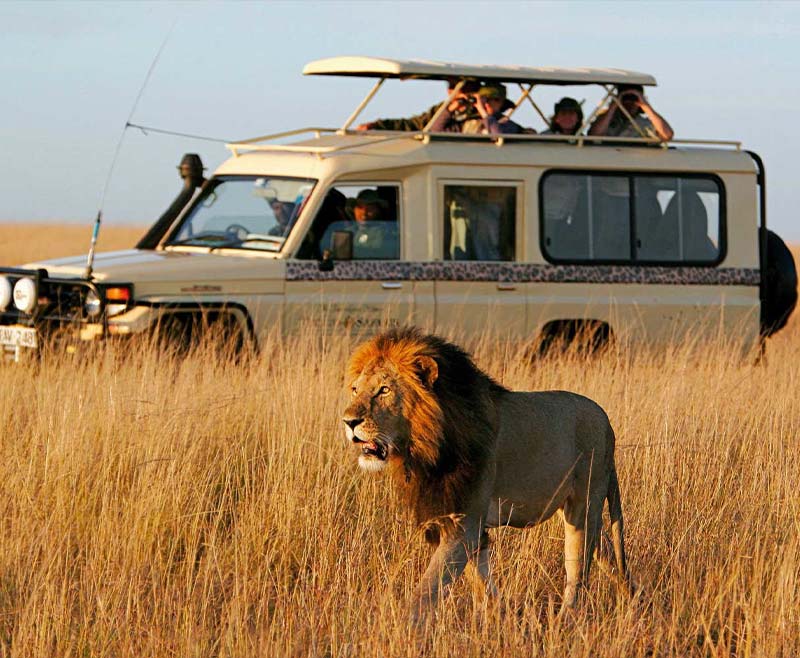 Safari-Tsavo-Est-e-Amboseli-5.jpg