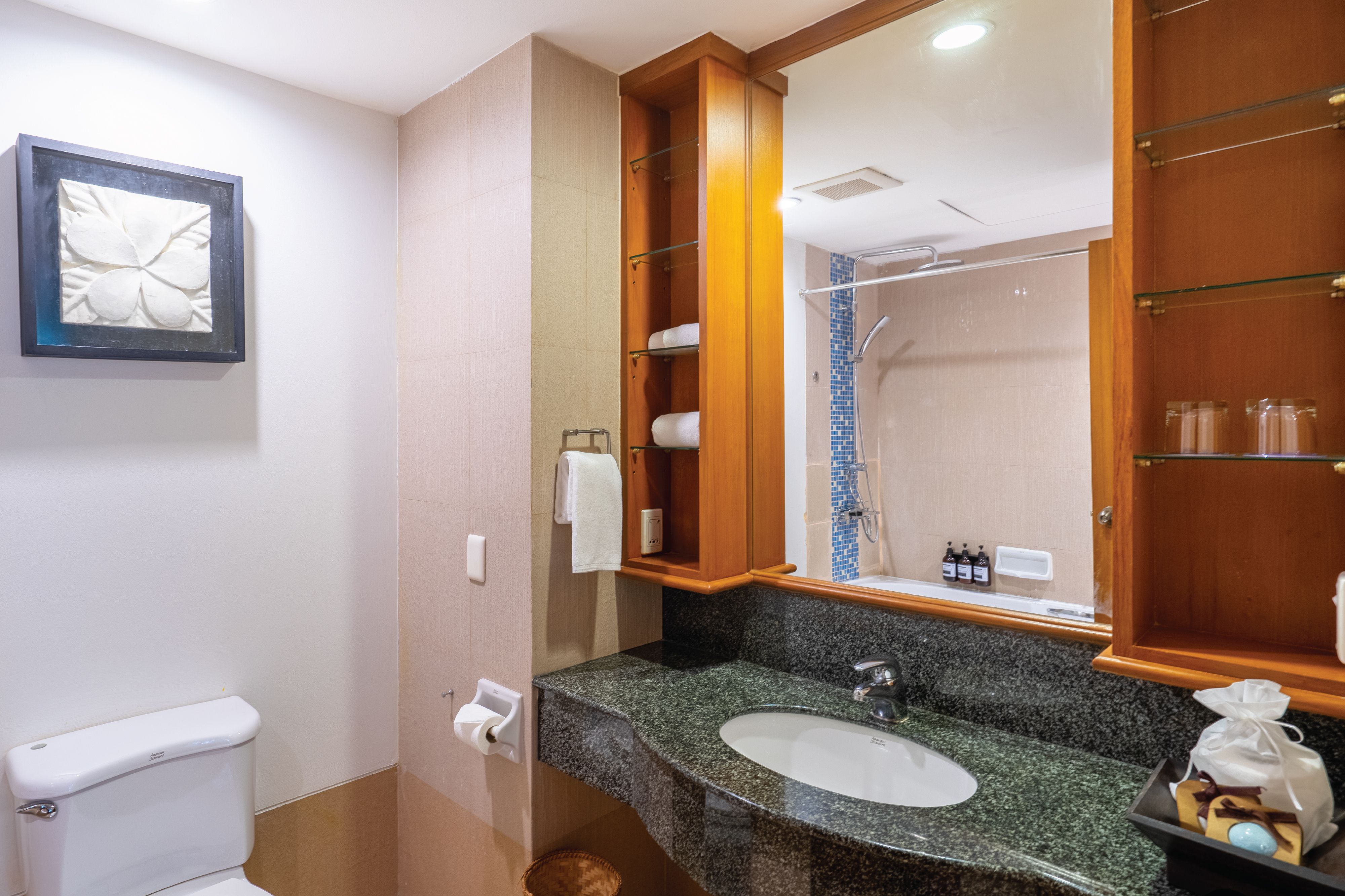 Premium Junior Suite
