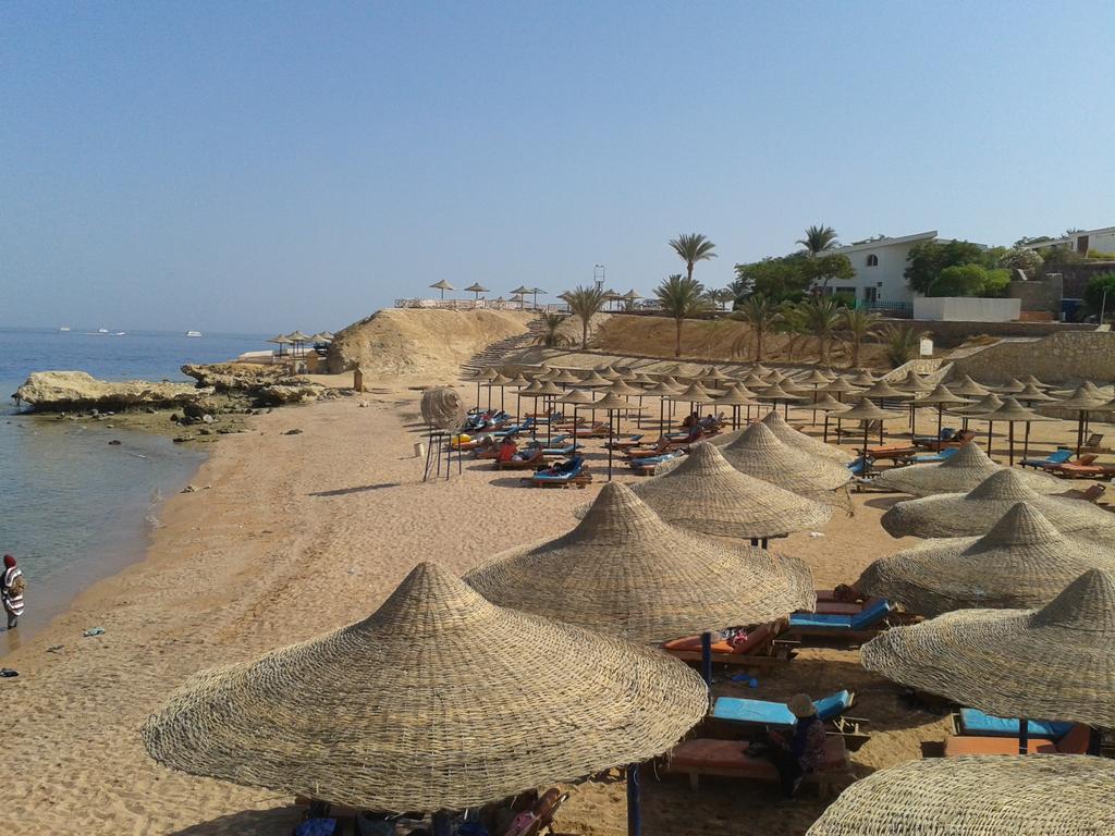 Plajă 