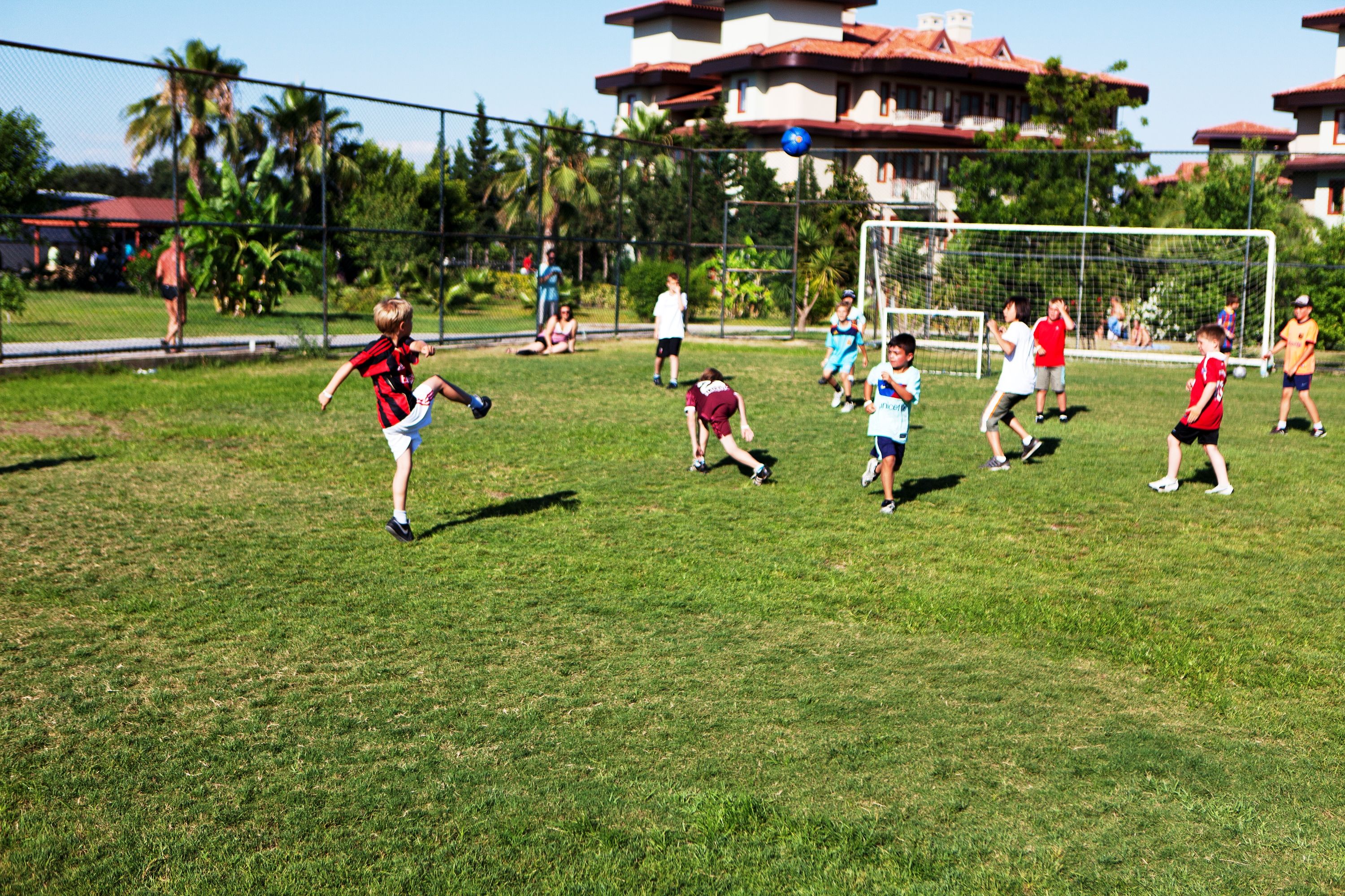 Sport