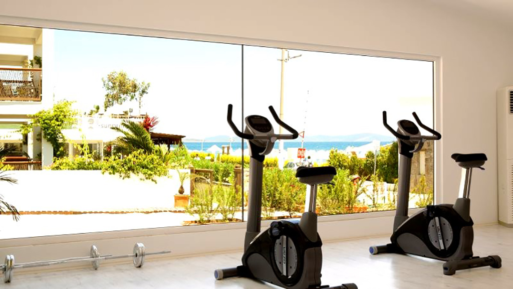 Sport