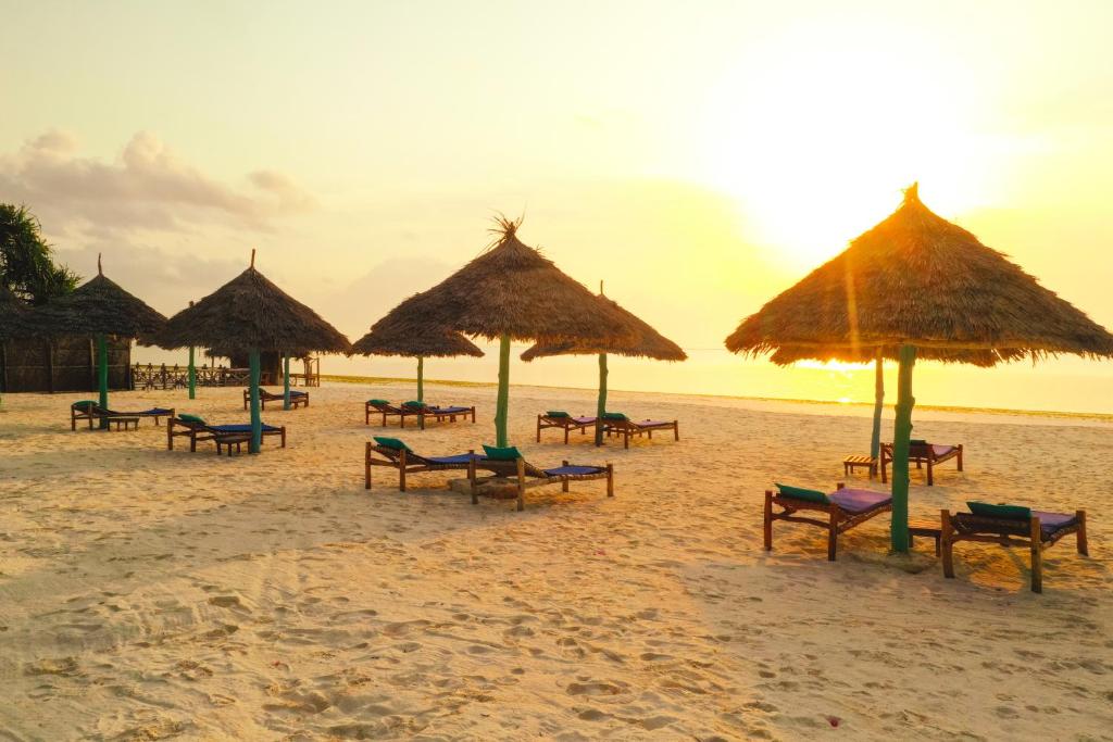 Plajă 