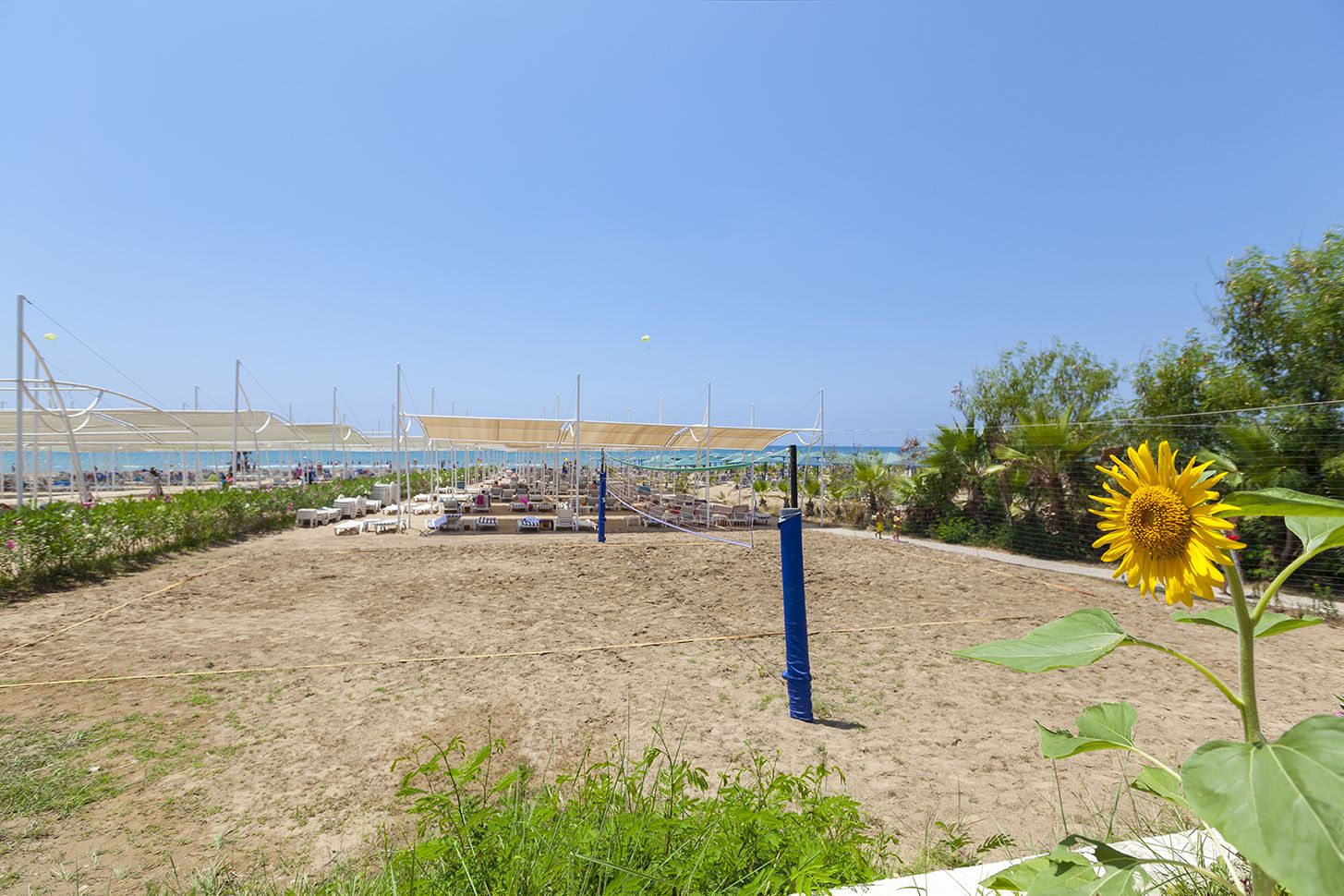 Plajă 