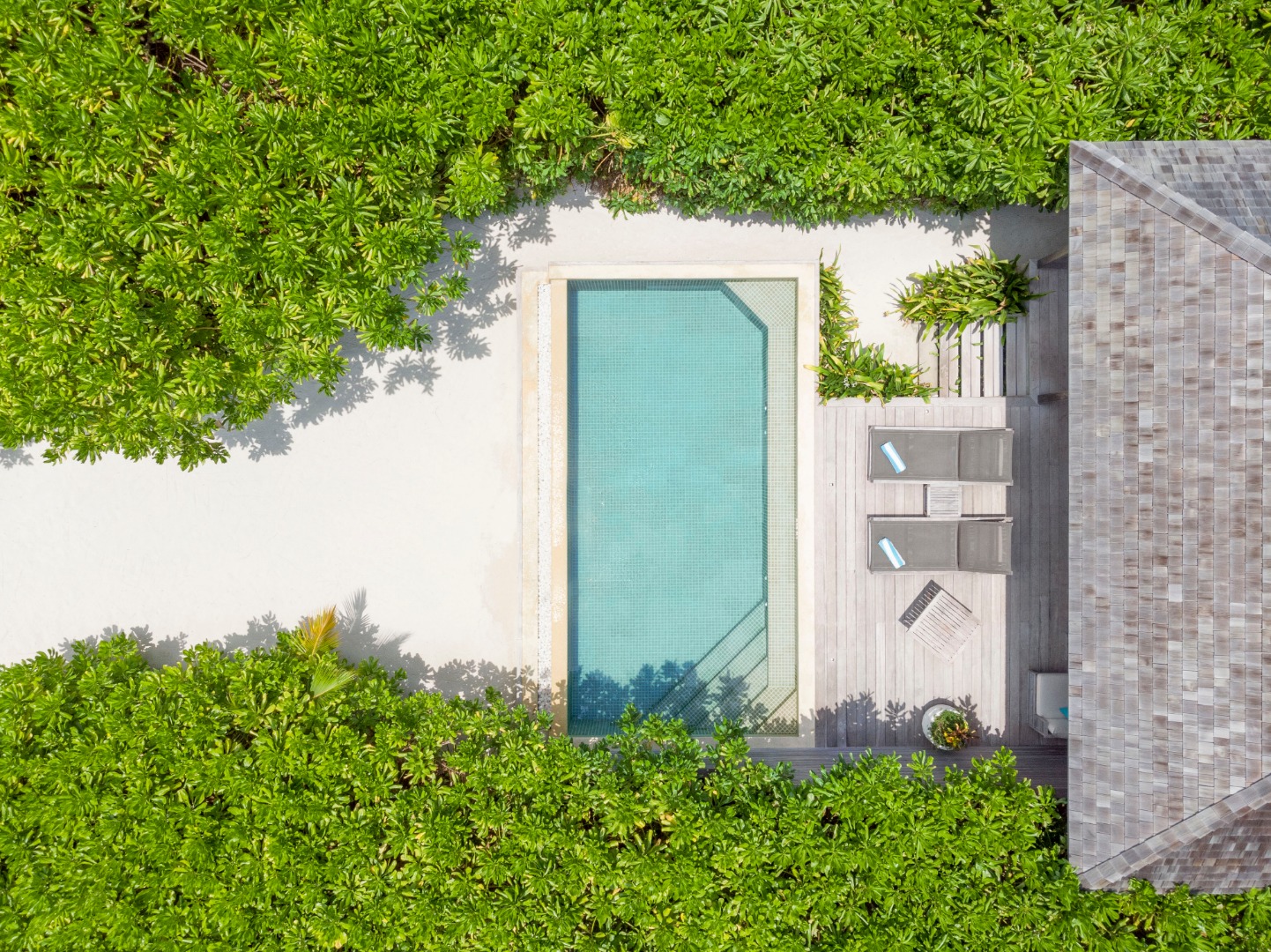 Beach Pool Villa