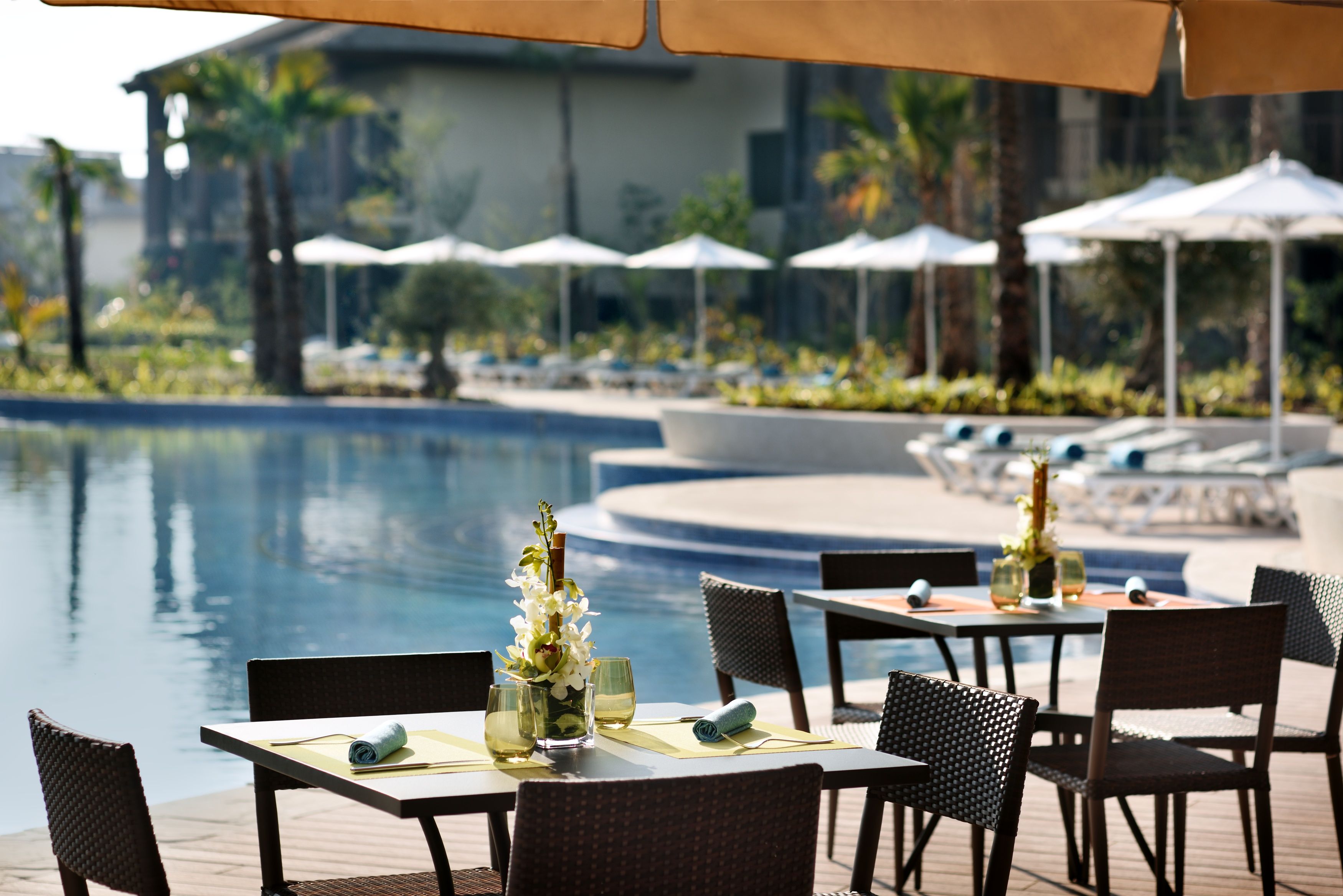 Ari Pool Restaurant and Bar