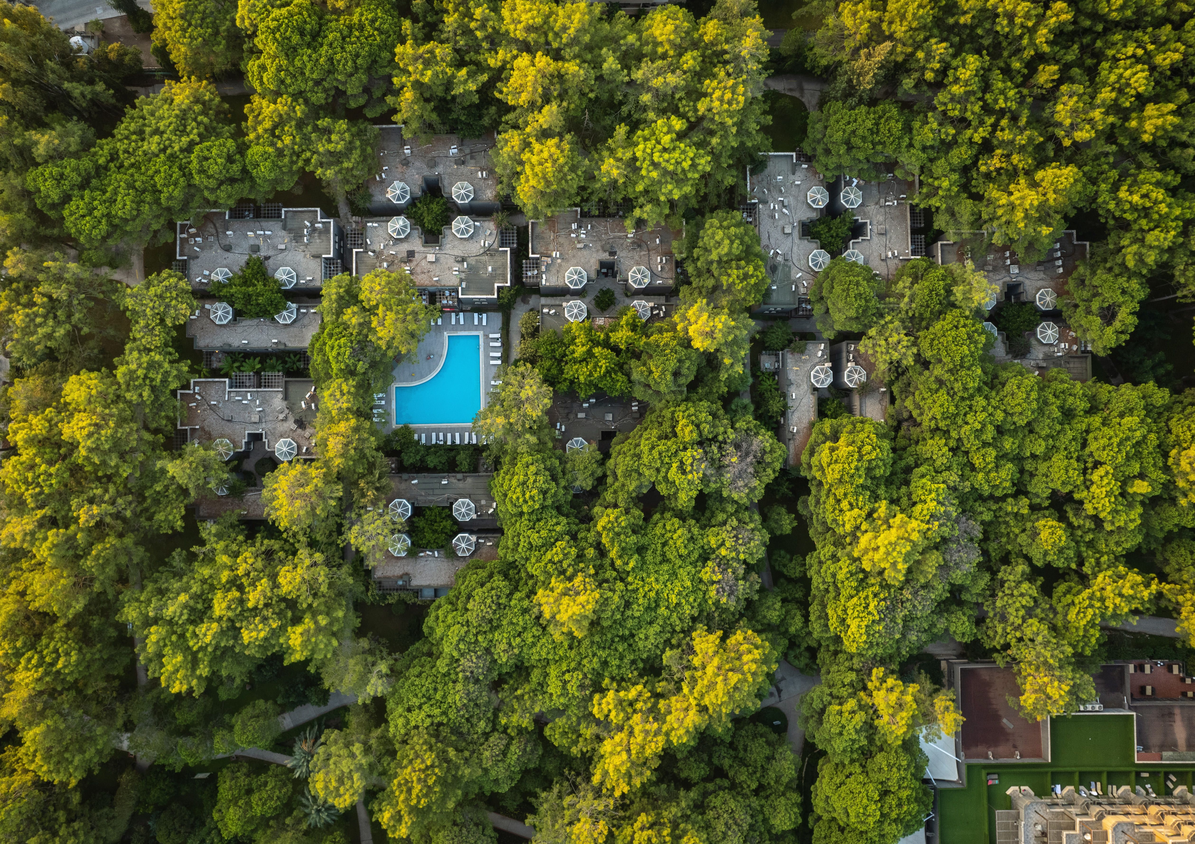 Bungalou