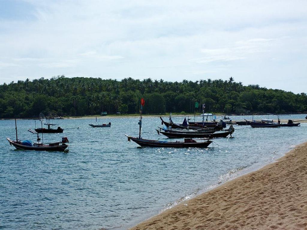 Plajă 