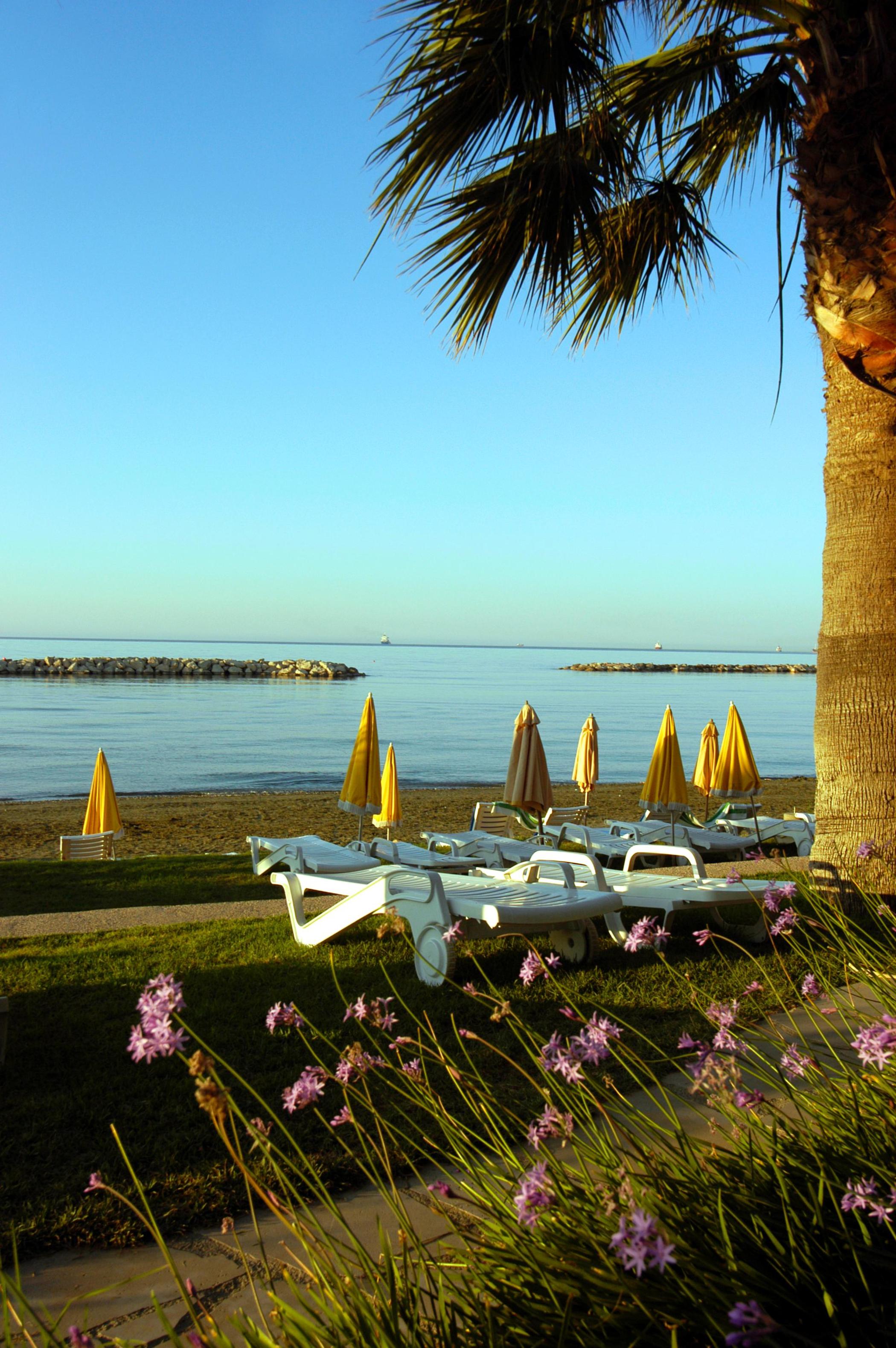 Plajă 