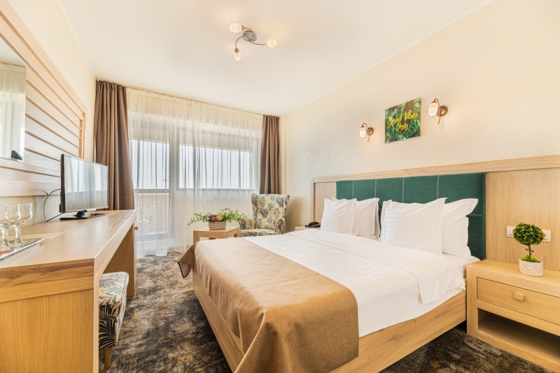 Double Standard Balcony and Danube view