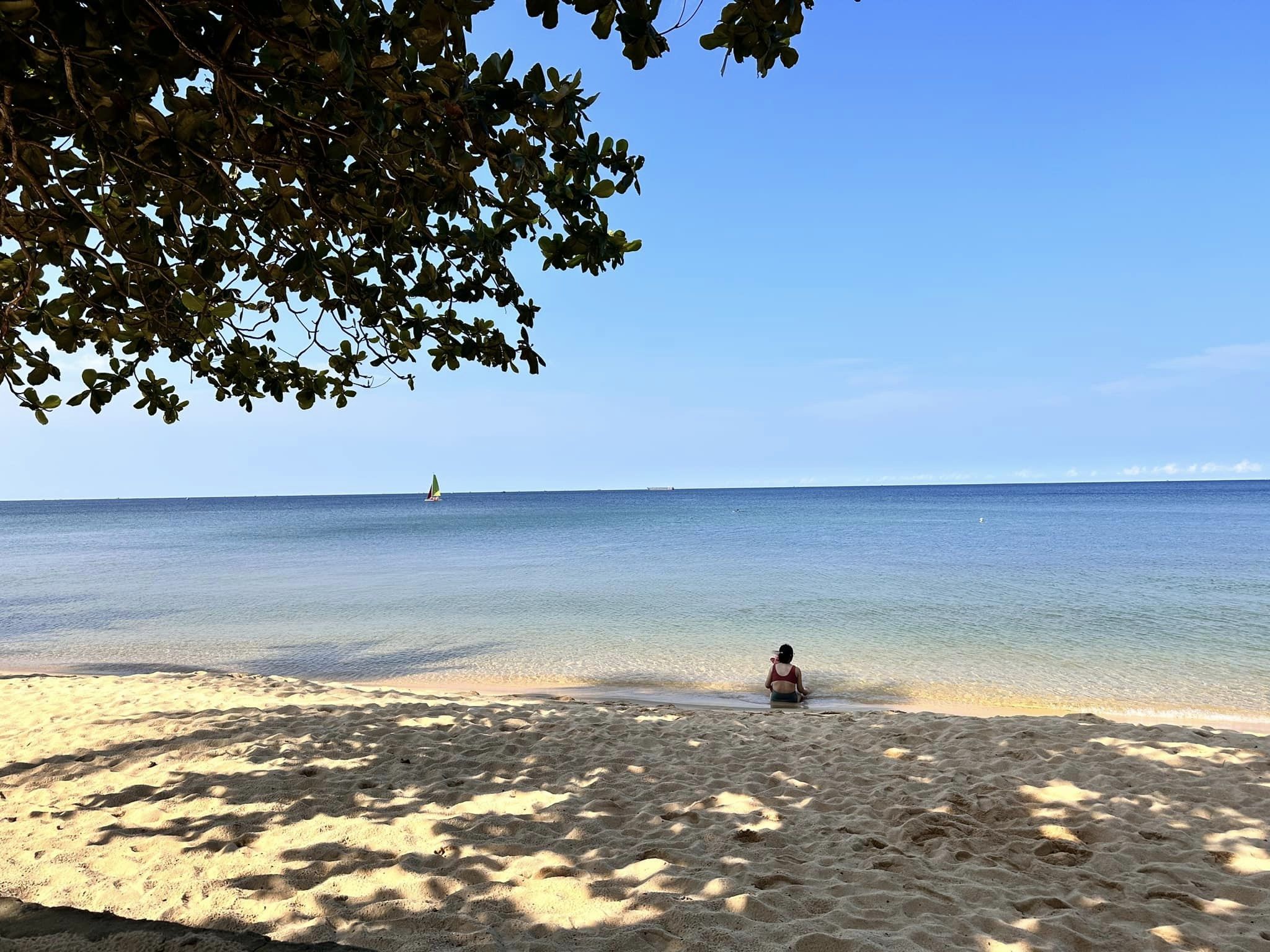 Plajă 