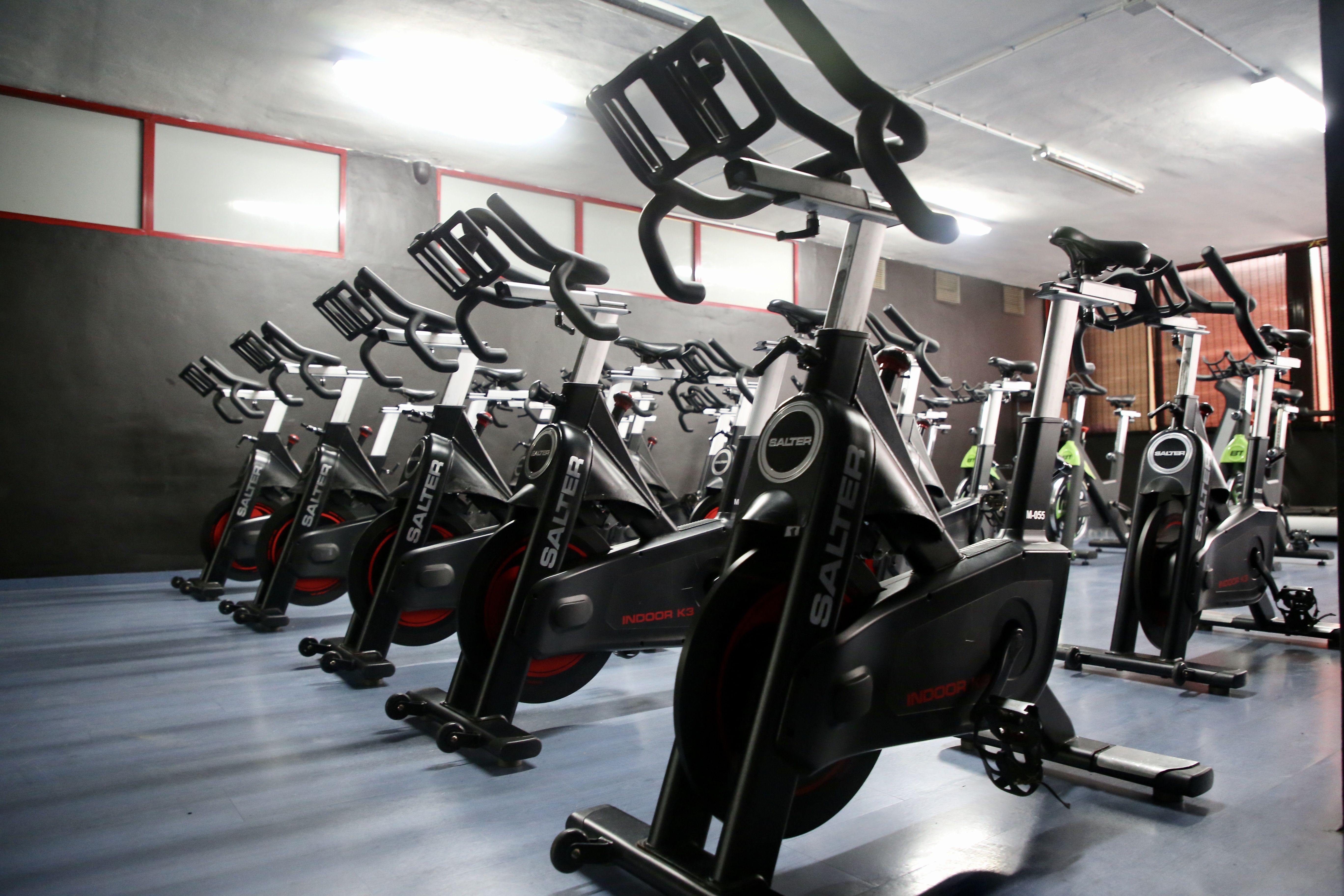 Sport