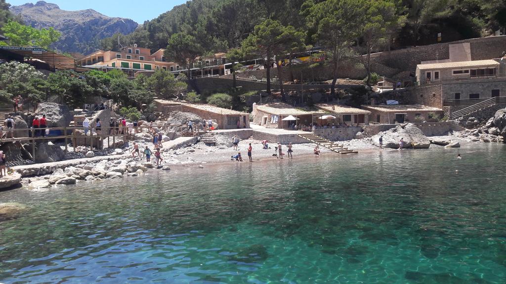 Plajă 