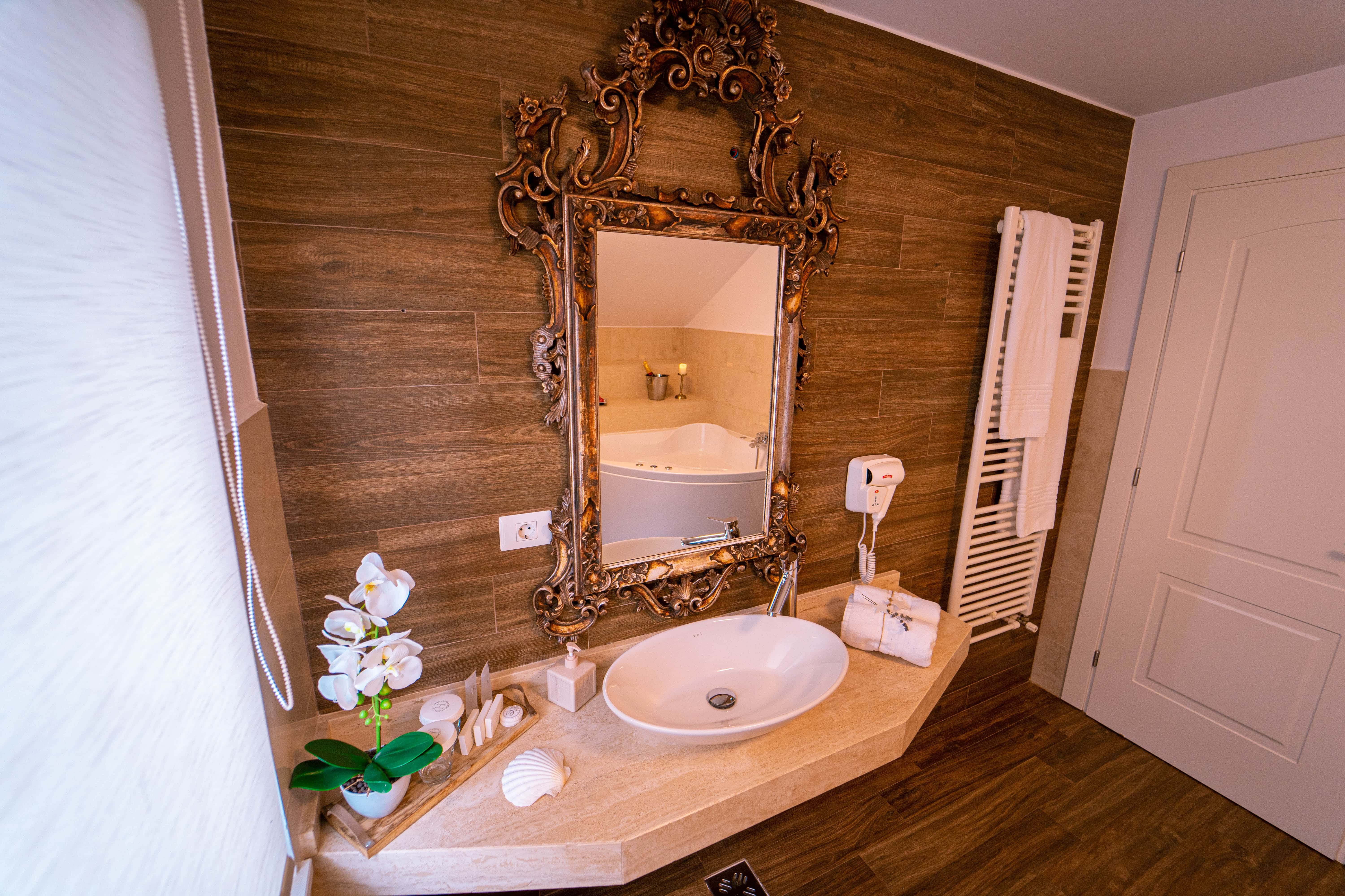 Camera Deluxe cu jacuzzi si vedere la lac 