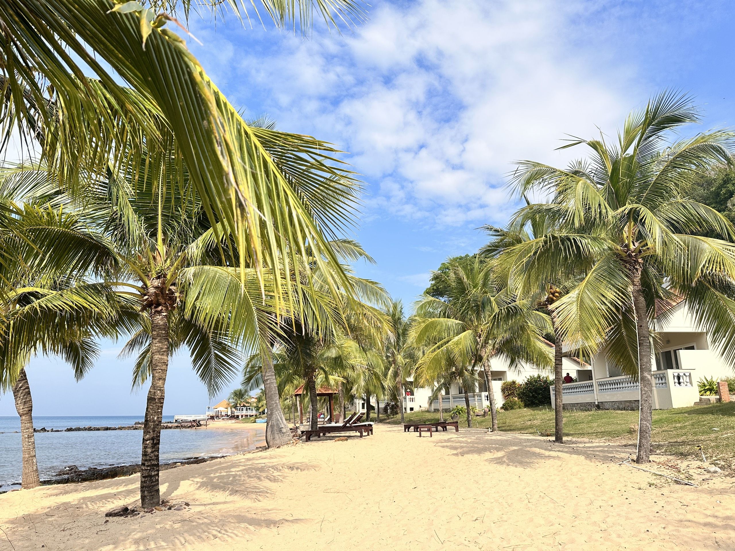 Plajă 