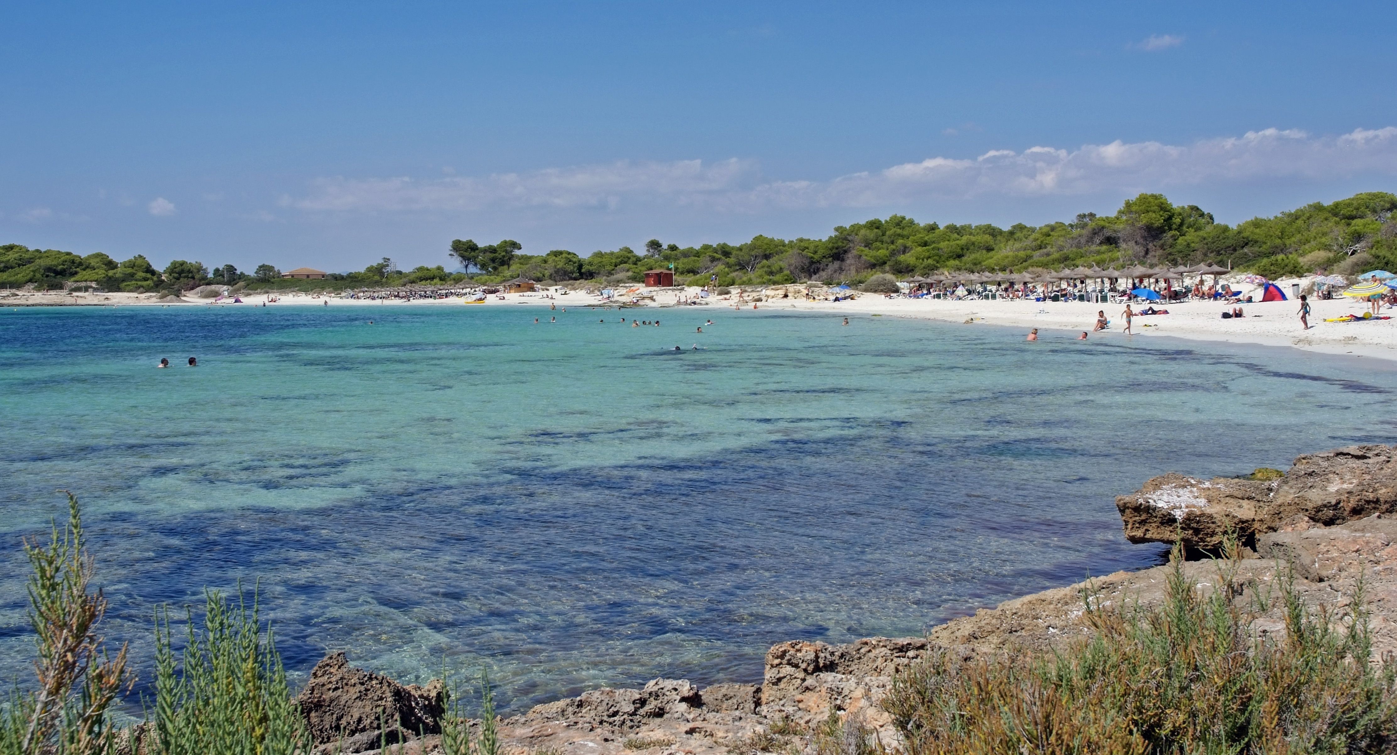 Plajă 