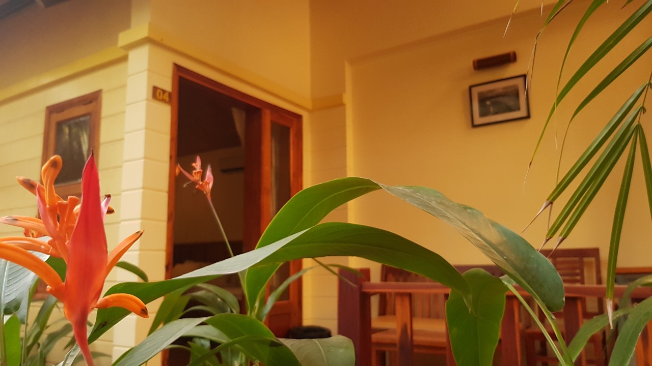 Bungalou