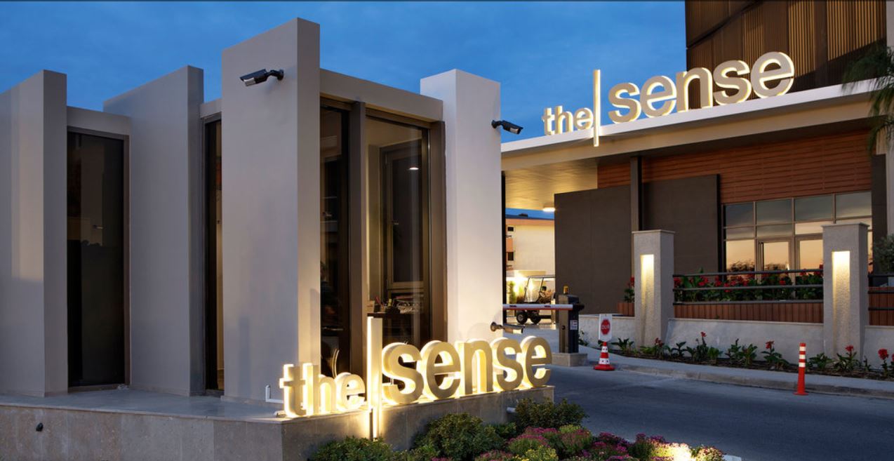 sense 1.JPG
