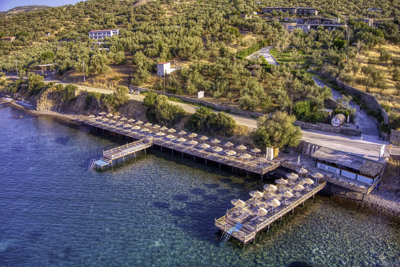 Plajă 