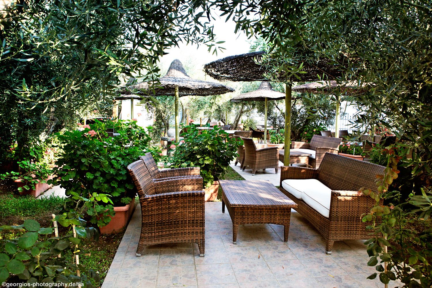 GARDEN DINING