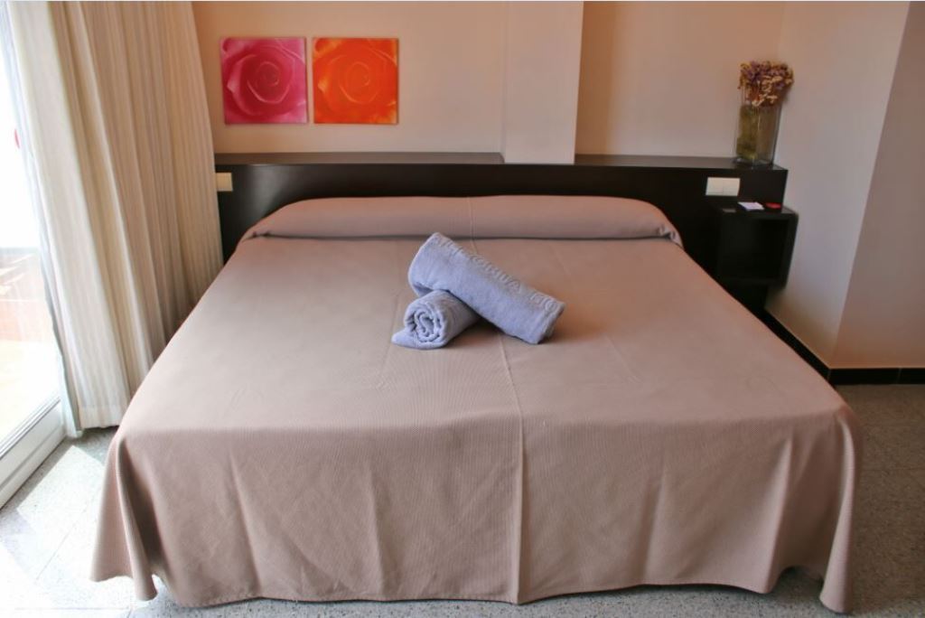 CLASSIC DOUBLE ROOM WITH BALCONY OR TERRACE