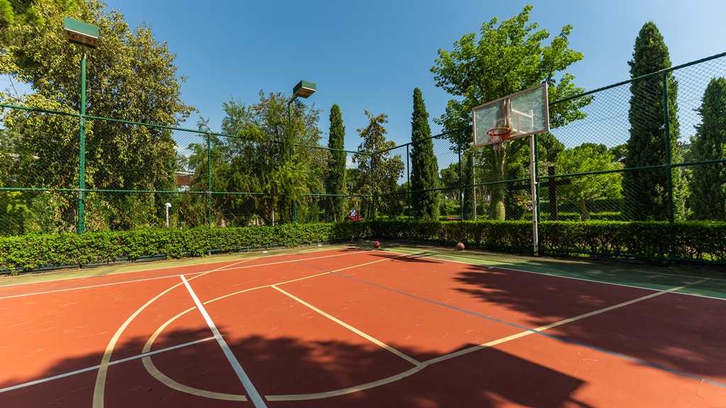Sport