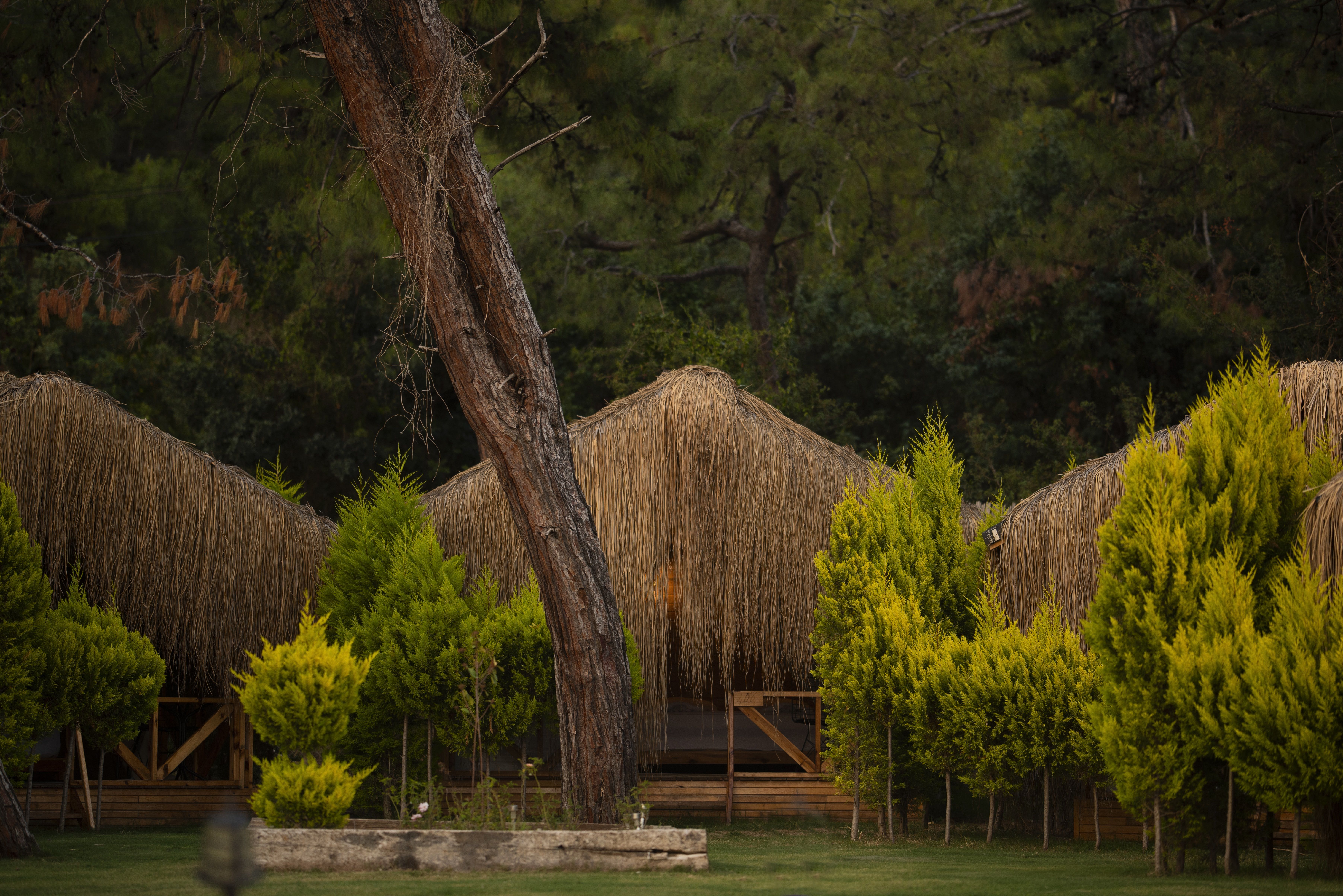 Glamping Tent Room