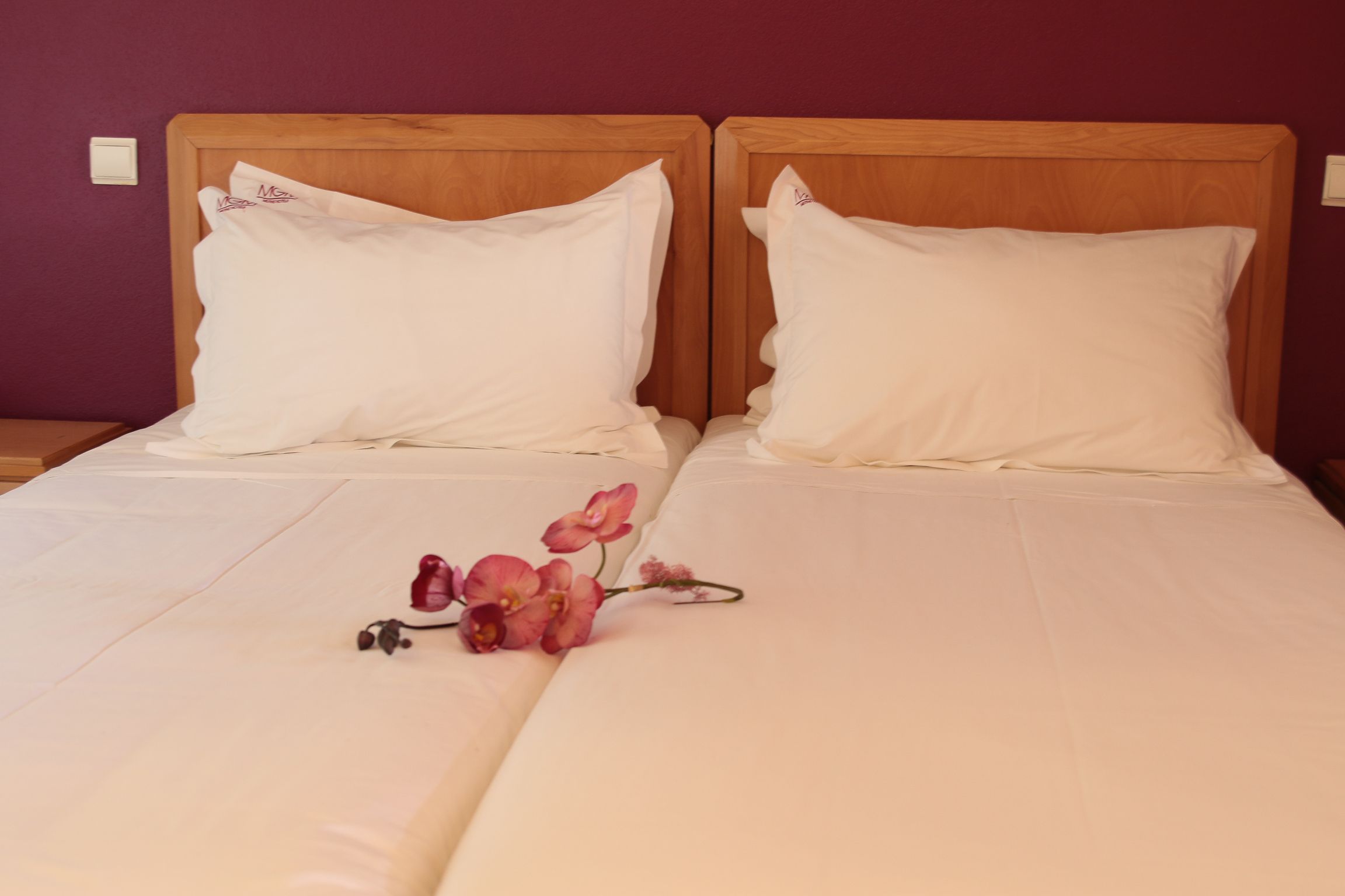 ONE BEDROOM JUNIOR STANDAR