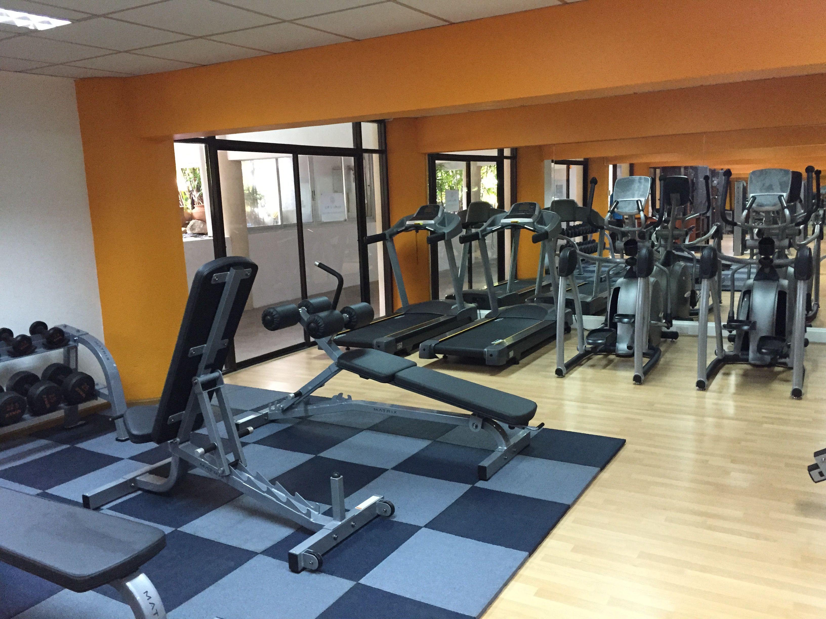 Sport