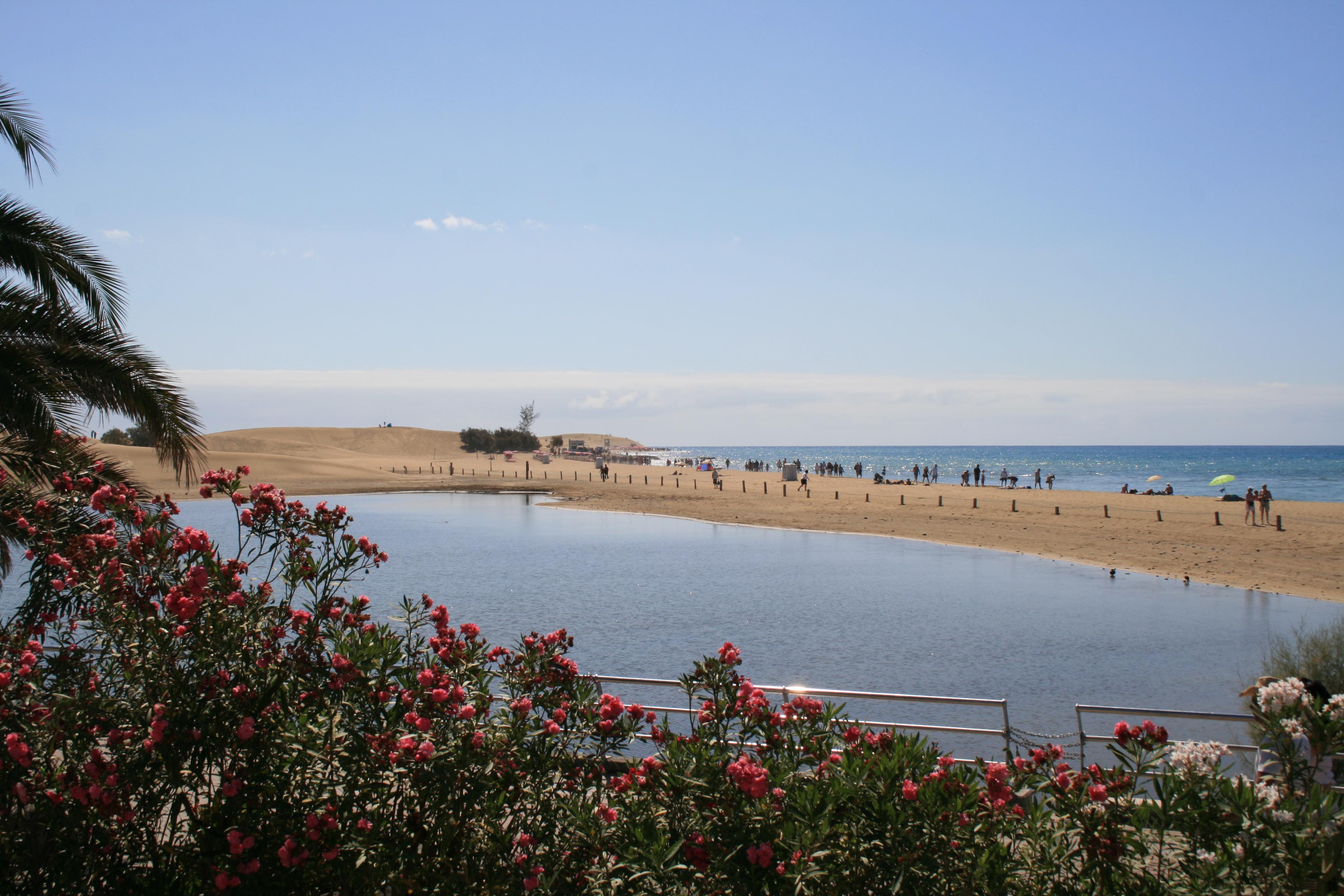 Plajă 
