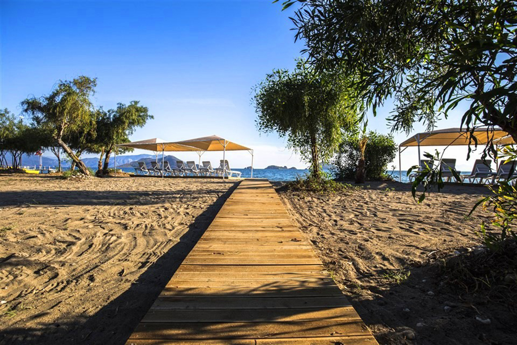 Plajă 