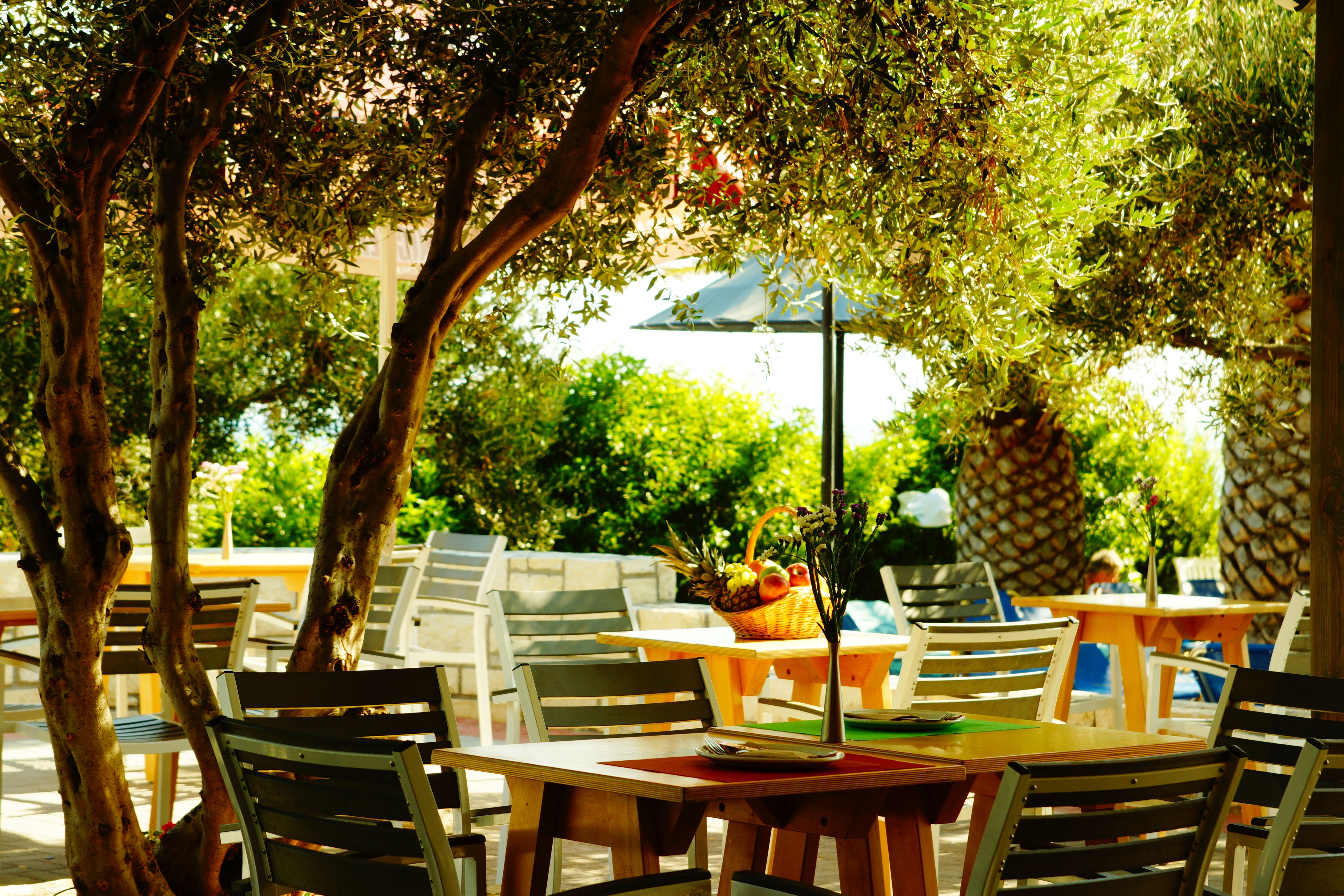 Olive Garden Snack Restaurant
