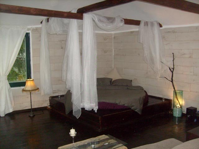 Casa din copac