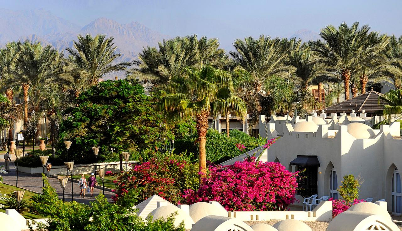 reef-oasis-beach-resort_152961339640.jpg